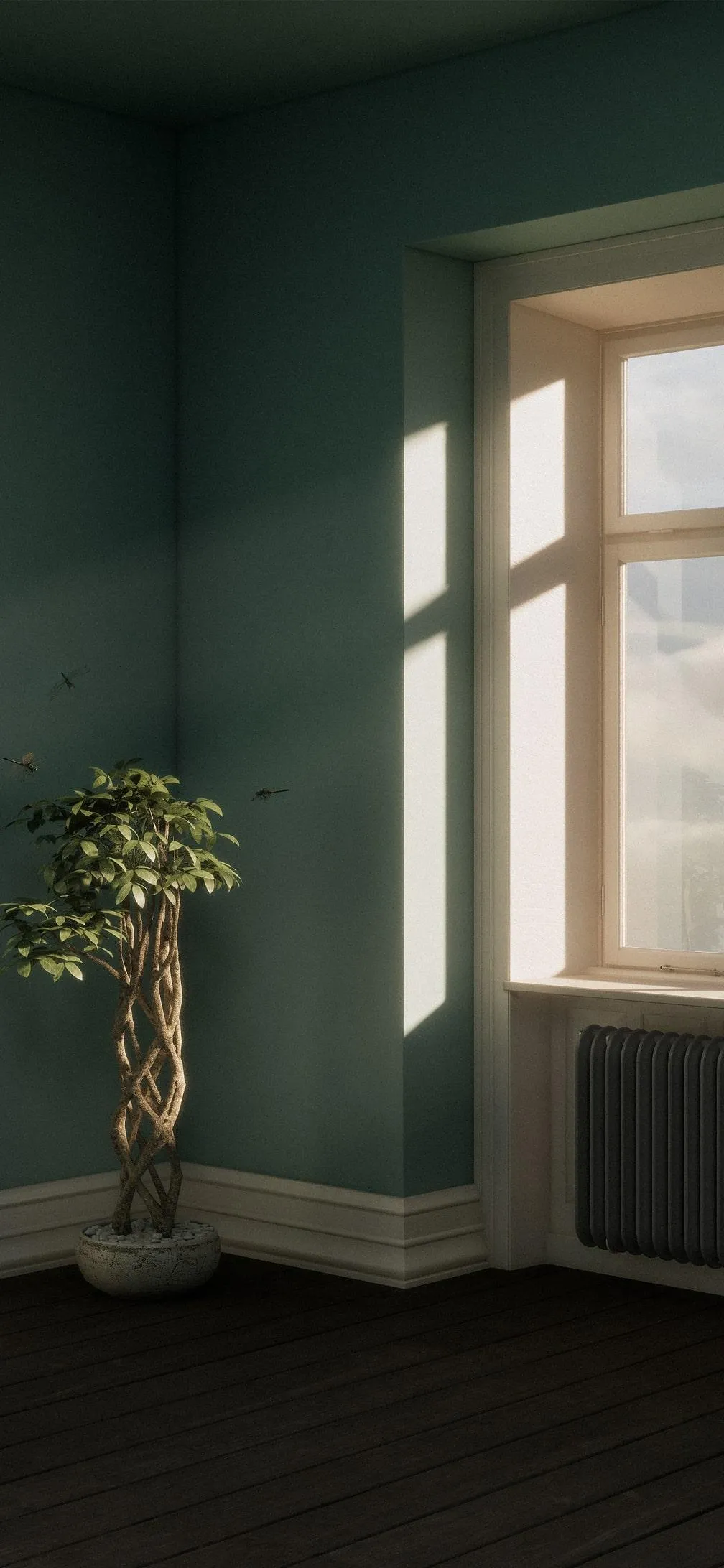 Minimal Interior Room with Natural Window Light View