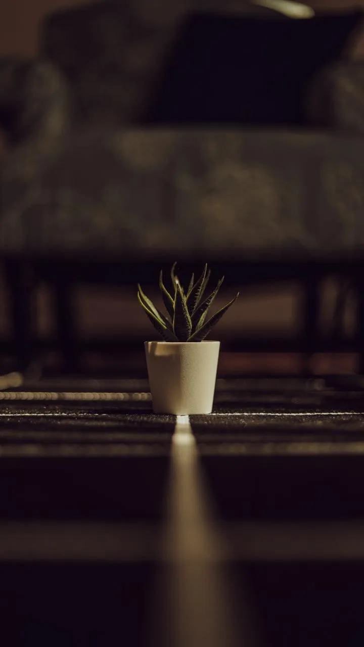 Minimalist Indoor Plant in Pot on Modern Table Wallpaper