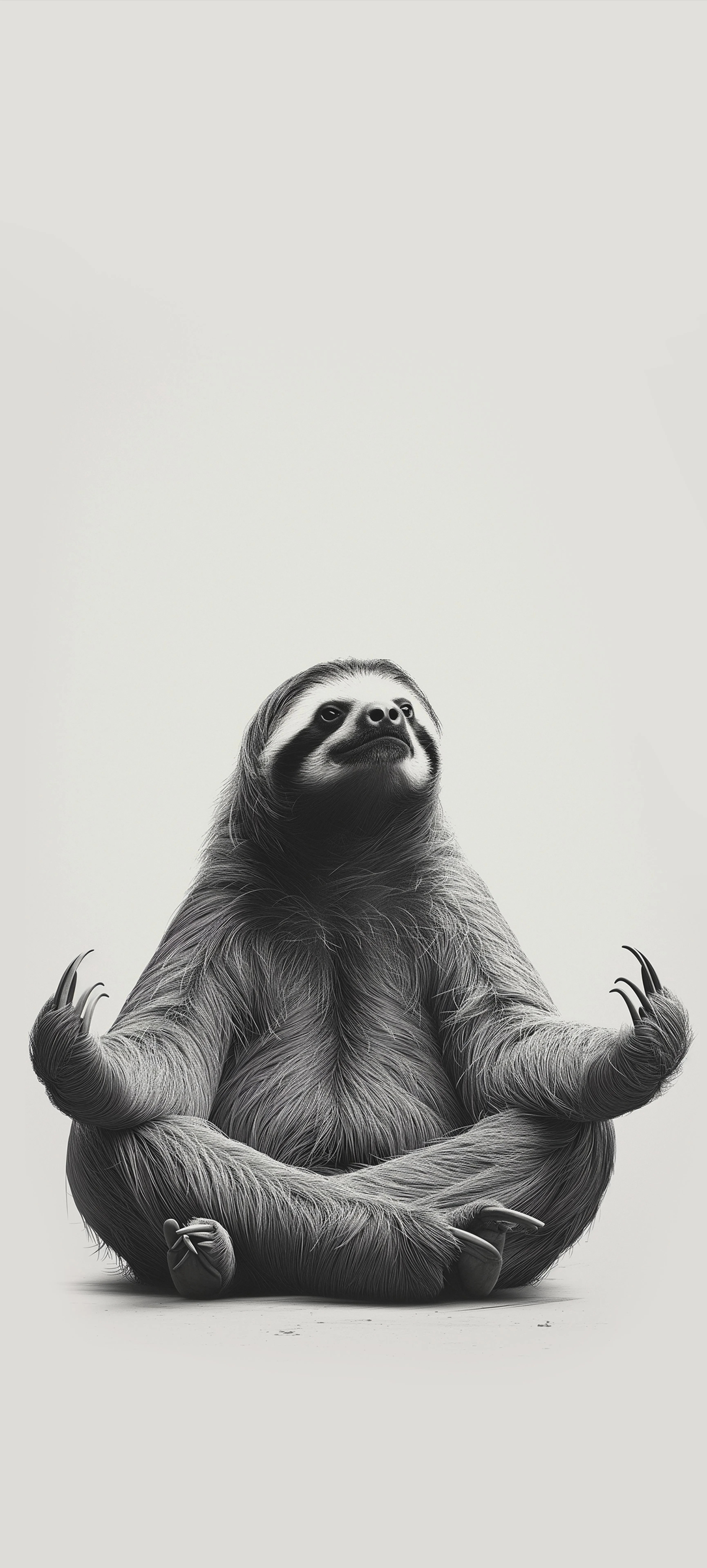 Minimalist Sloth Sitting Calmly on a White Background