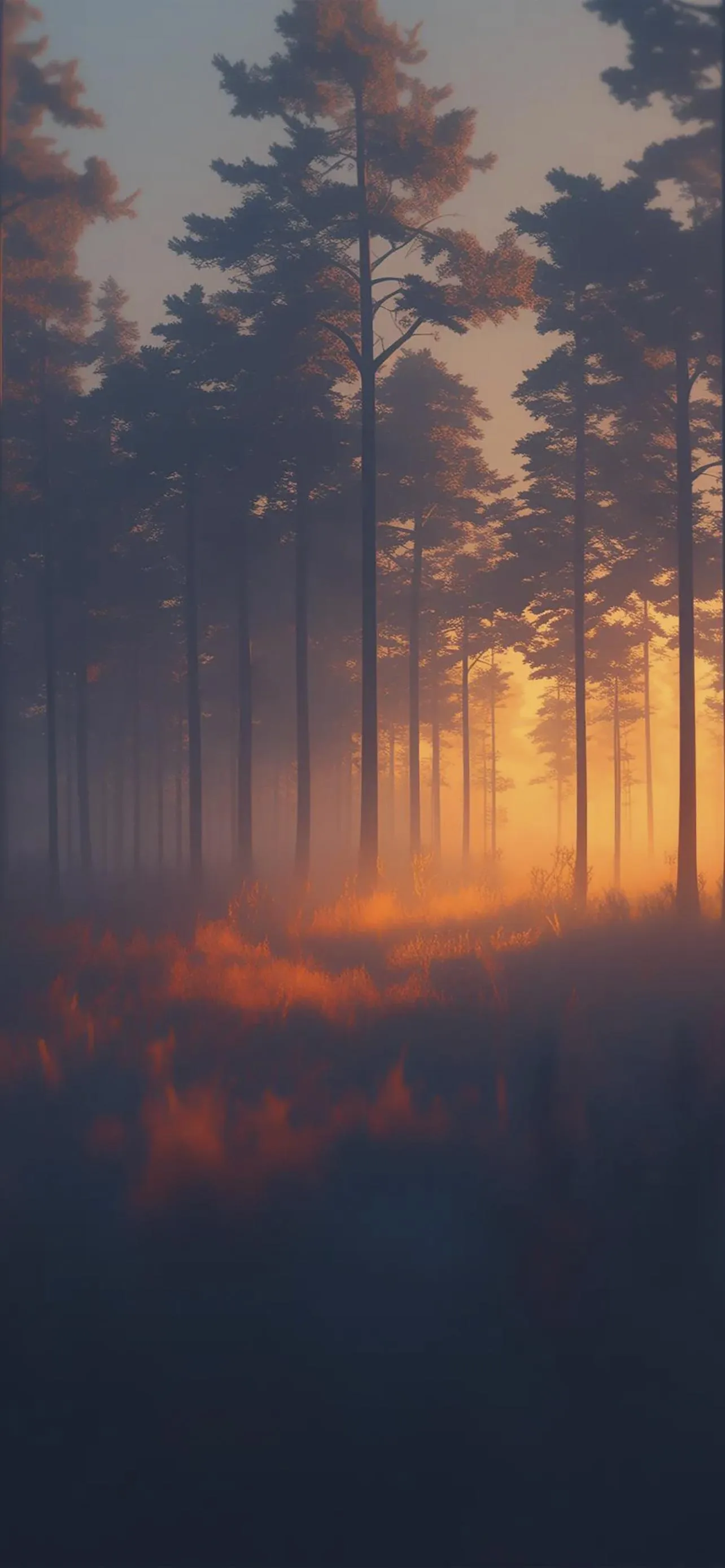 Misty Forest Sunrise with Golden Light Reflection Wallpaper