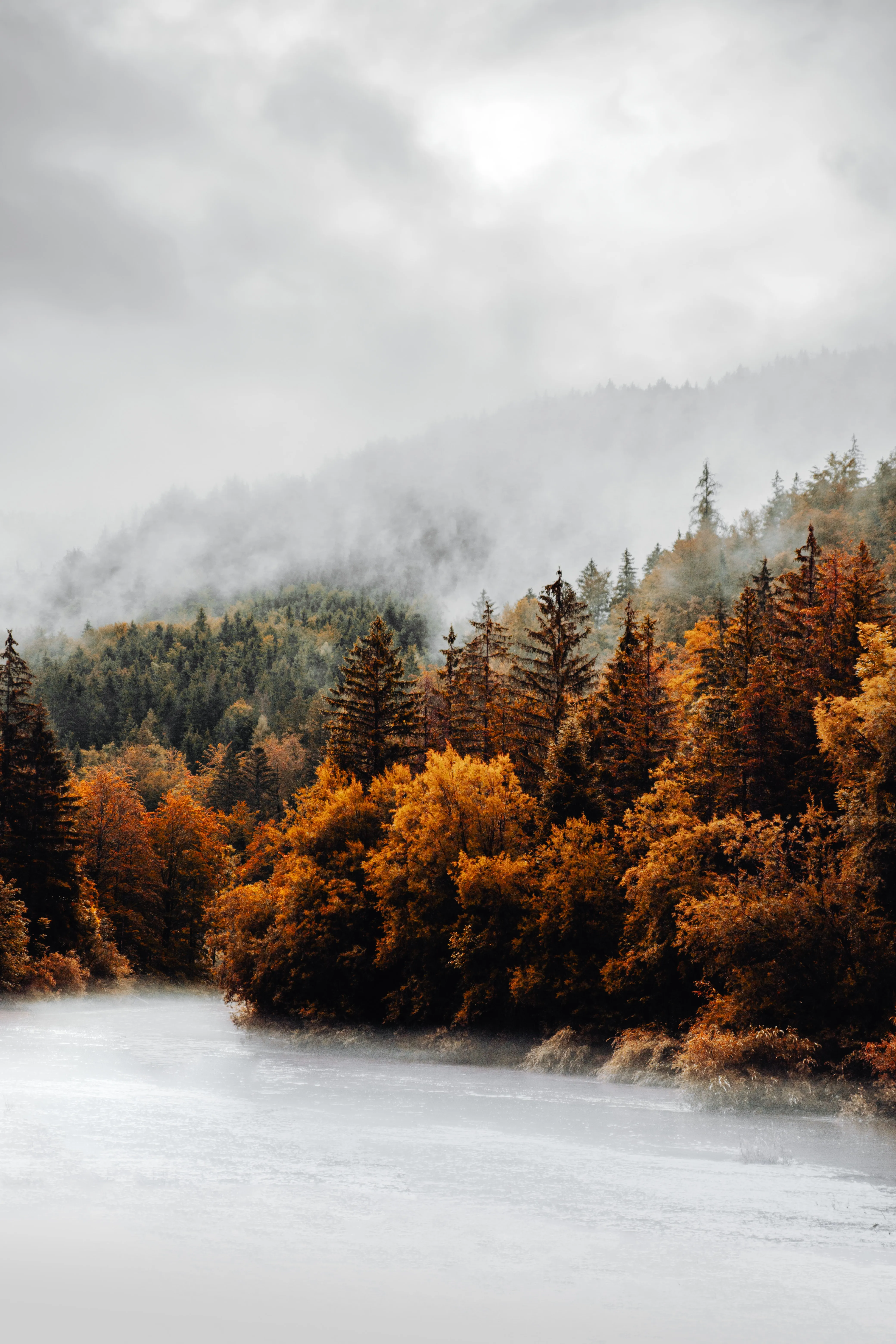 Misty Lake Surrounded by Autumn Forest Phone Wallpaper