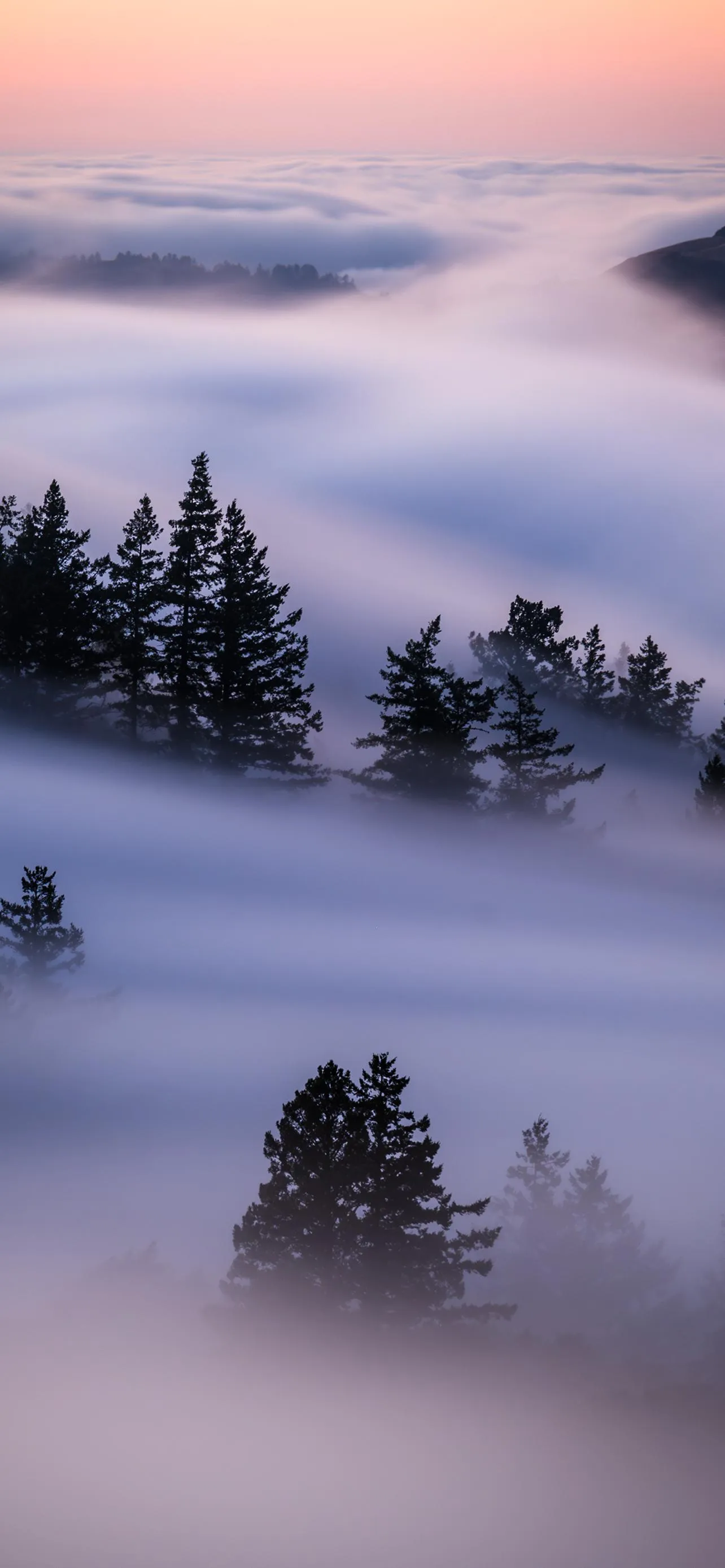 Misty Mountain Peaks Above the Cloud Horizon Wallpaper