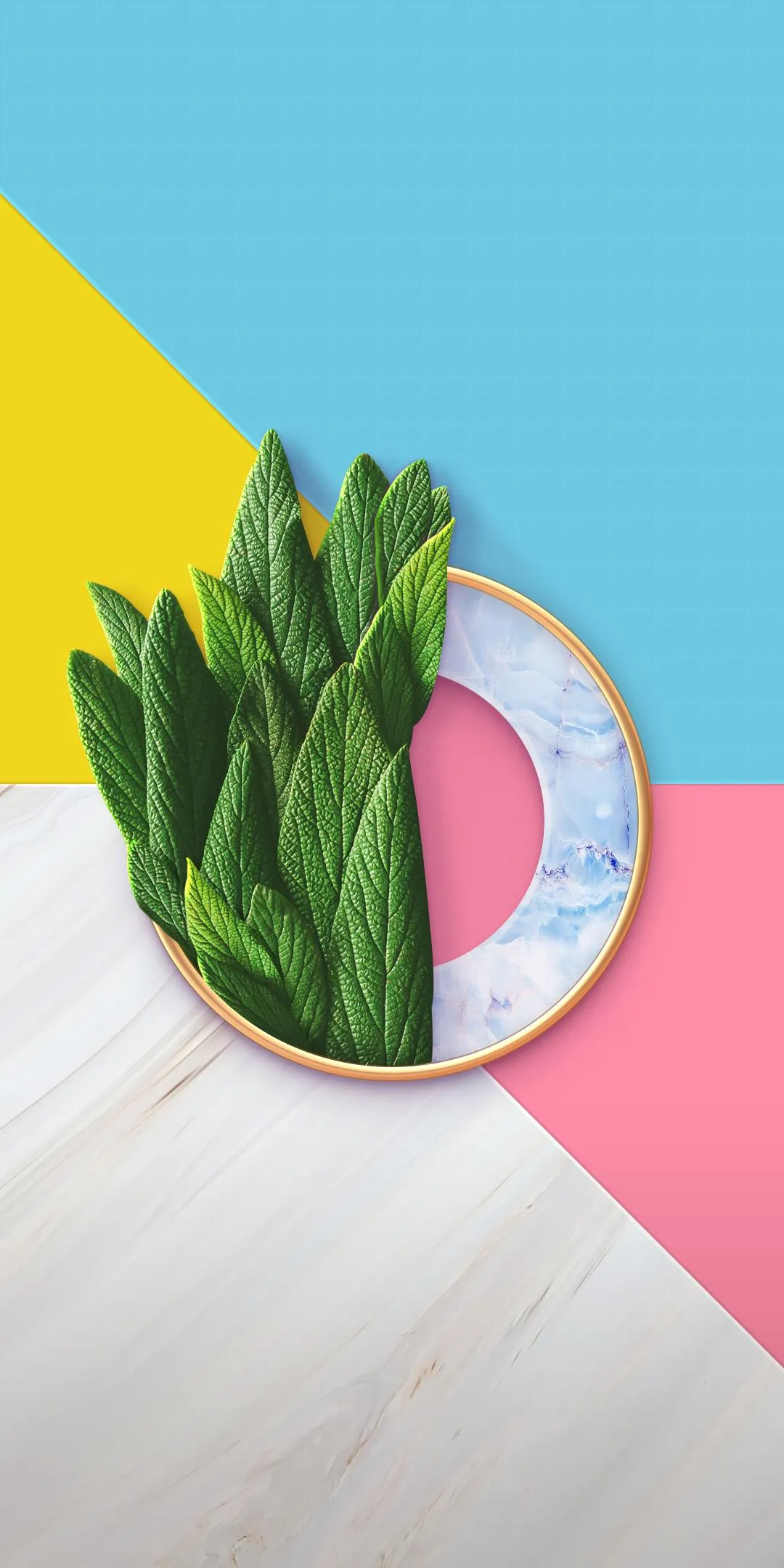 Modern Minimal Plant Art With Colorful Background Shapes