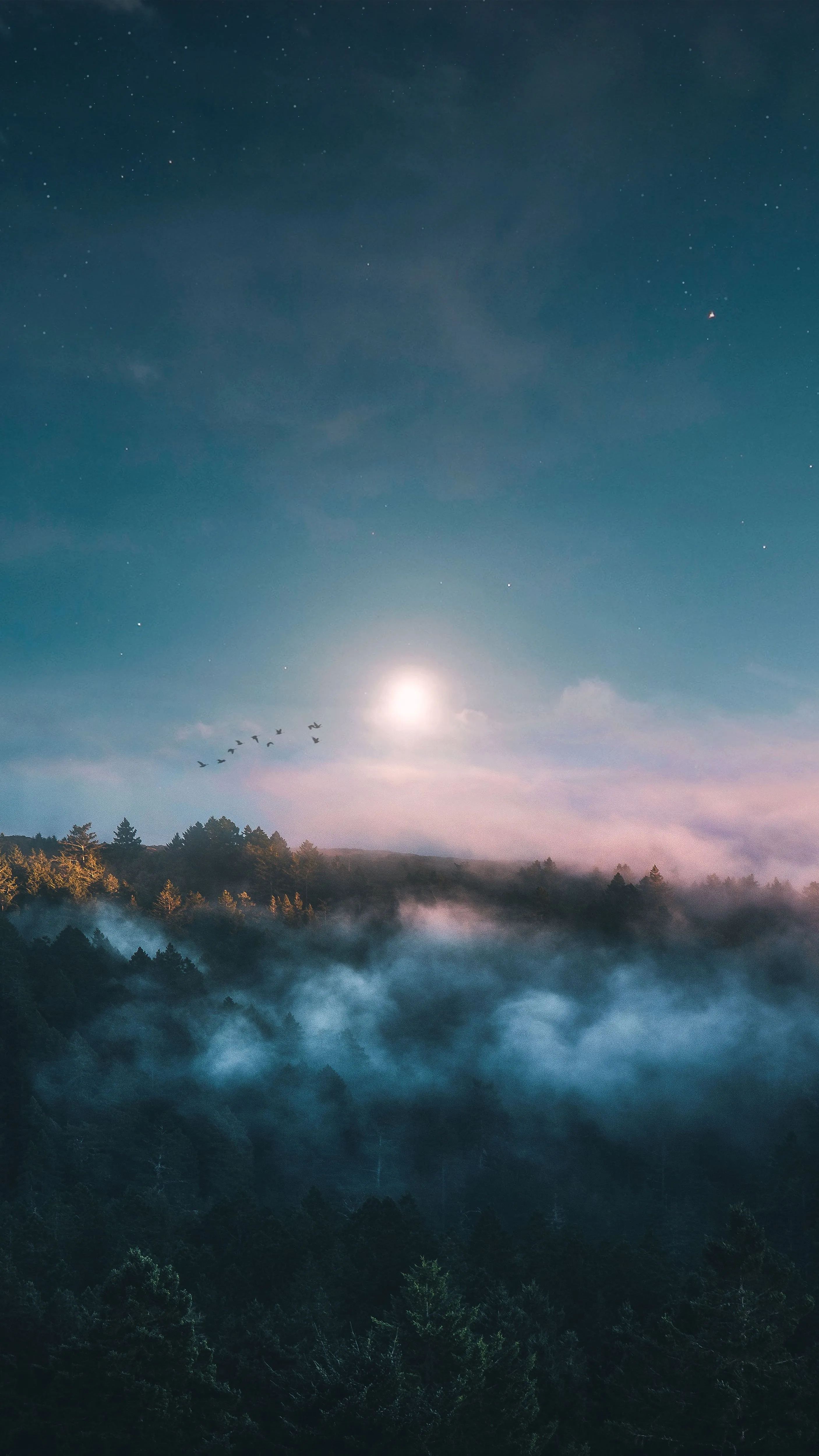 Moonlight Above a Misty Forest Wrapped in Blue Twilight