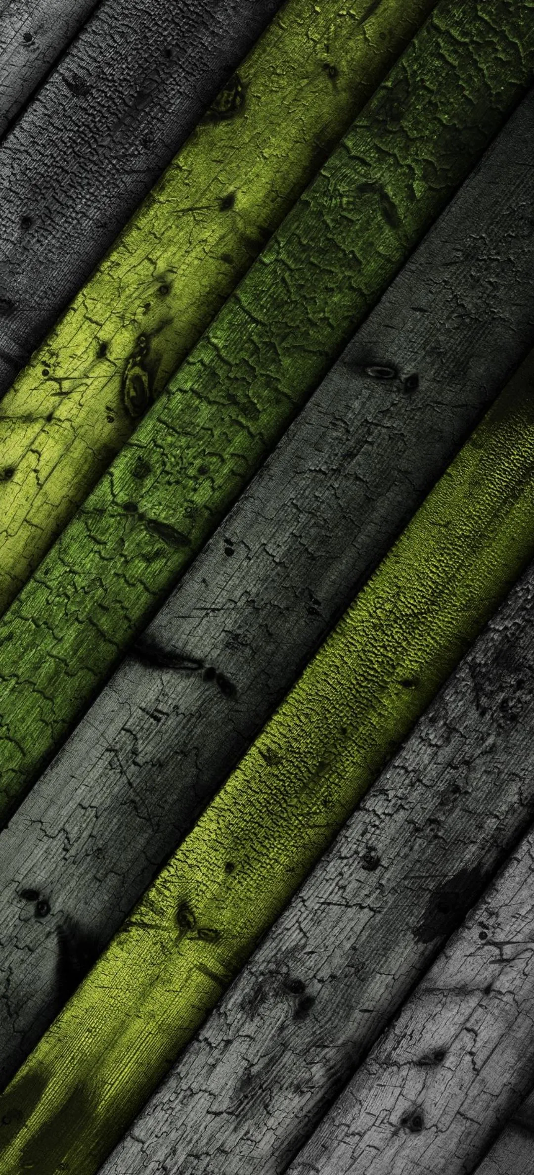 Mossy Green Bamboo Close Up Natural Texture Art Wallpaper