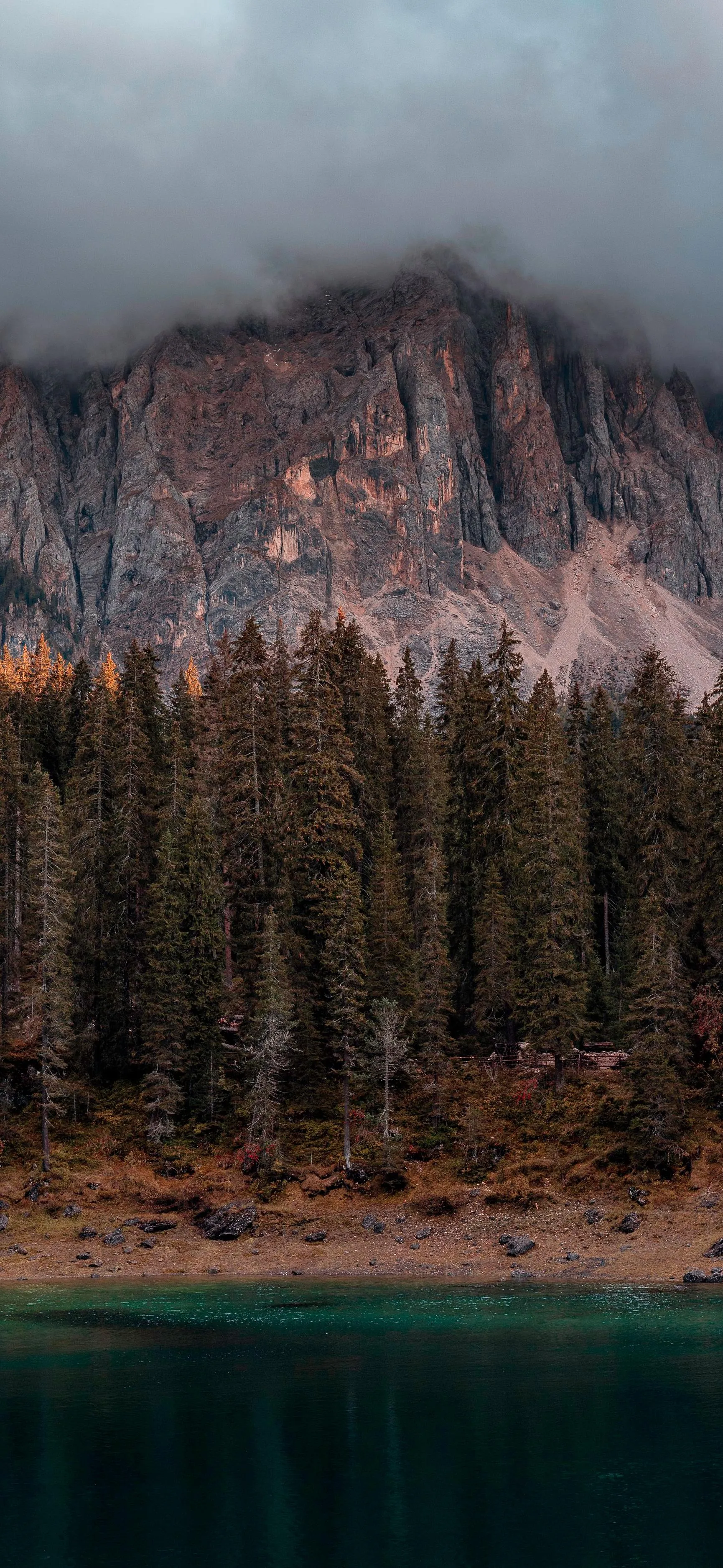 Mountain Lake with Pine Trees and Cloudy Sky Reflection