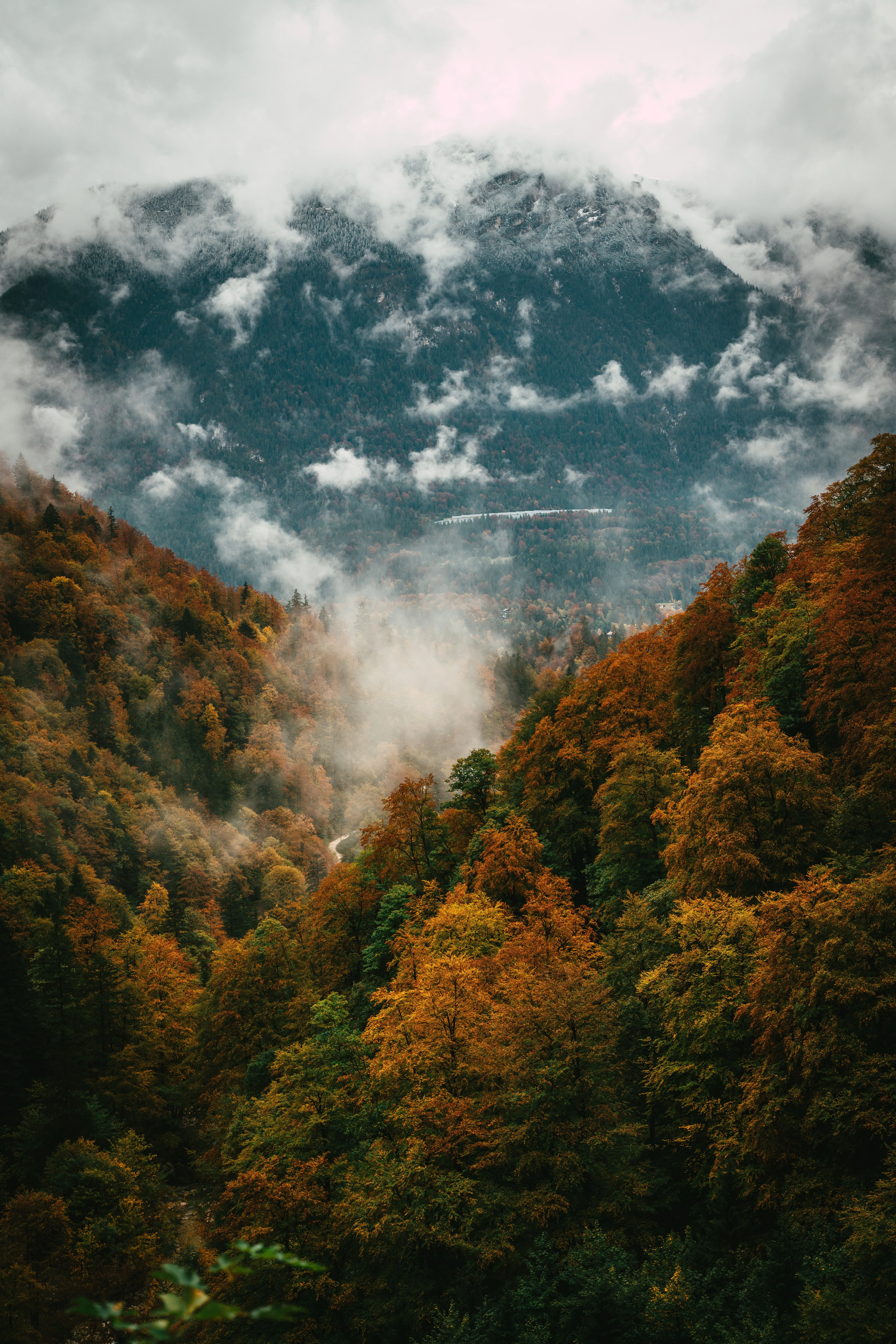 Mountain Landscape Covered in Golden Autumn Forest Wallpaper