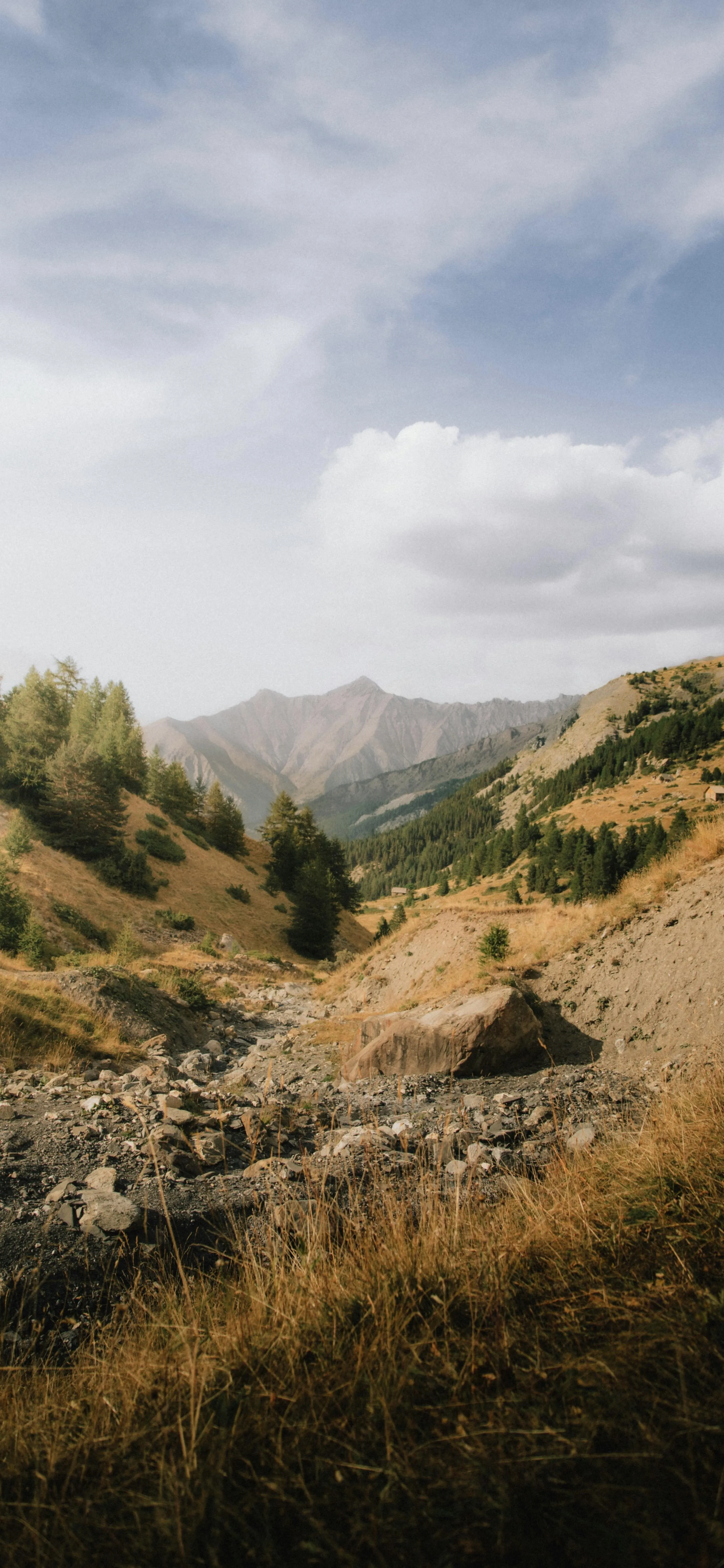 Mountain Landscape with Dry Grass and Clear Sky Image