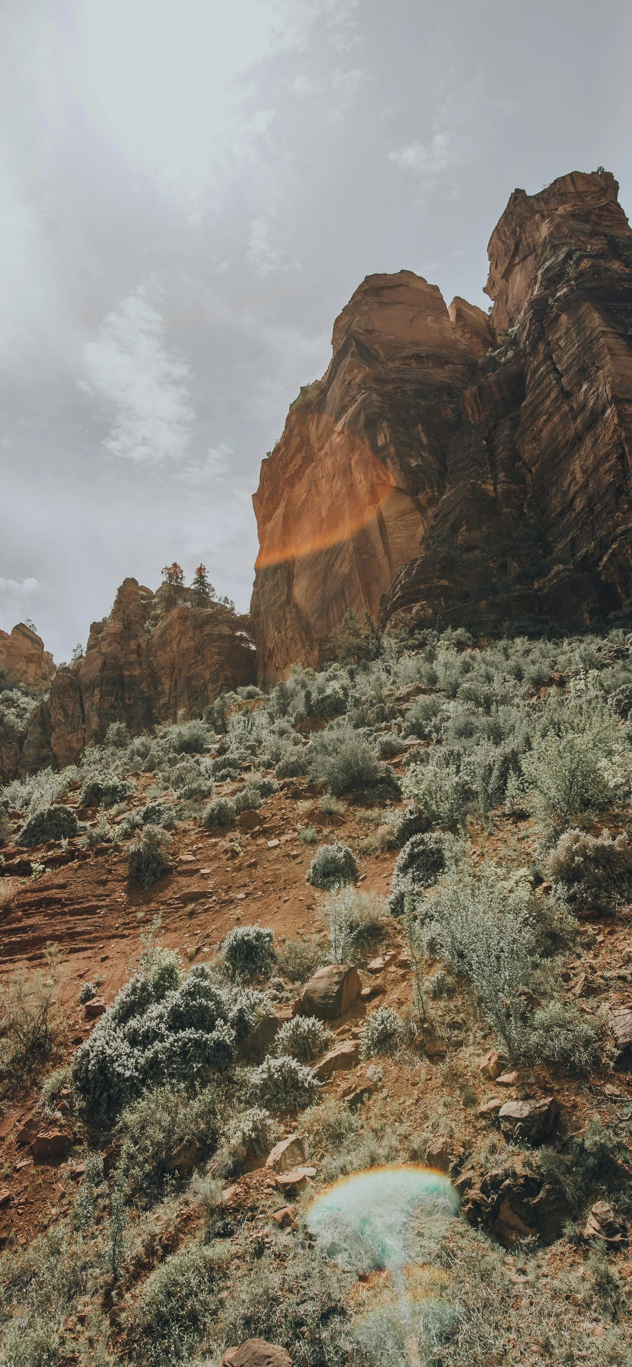 Mountain Landscape with Green Bushes and Rocky Terrain