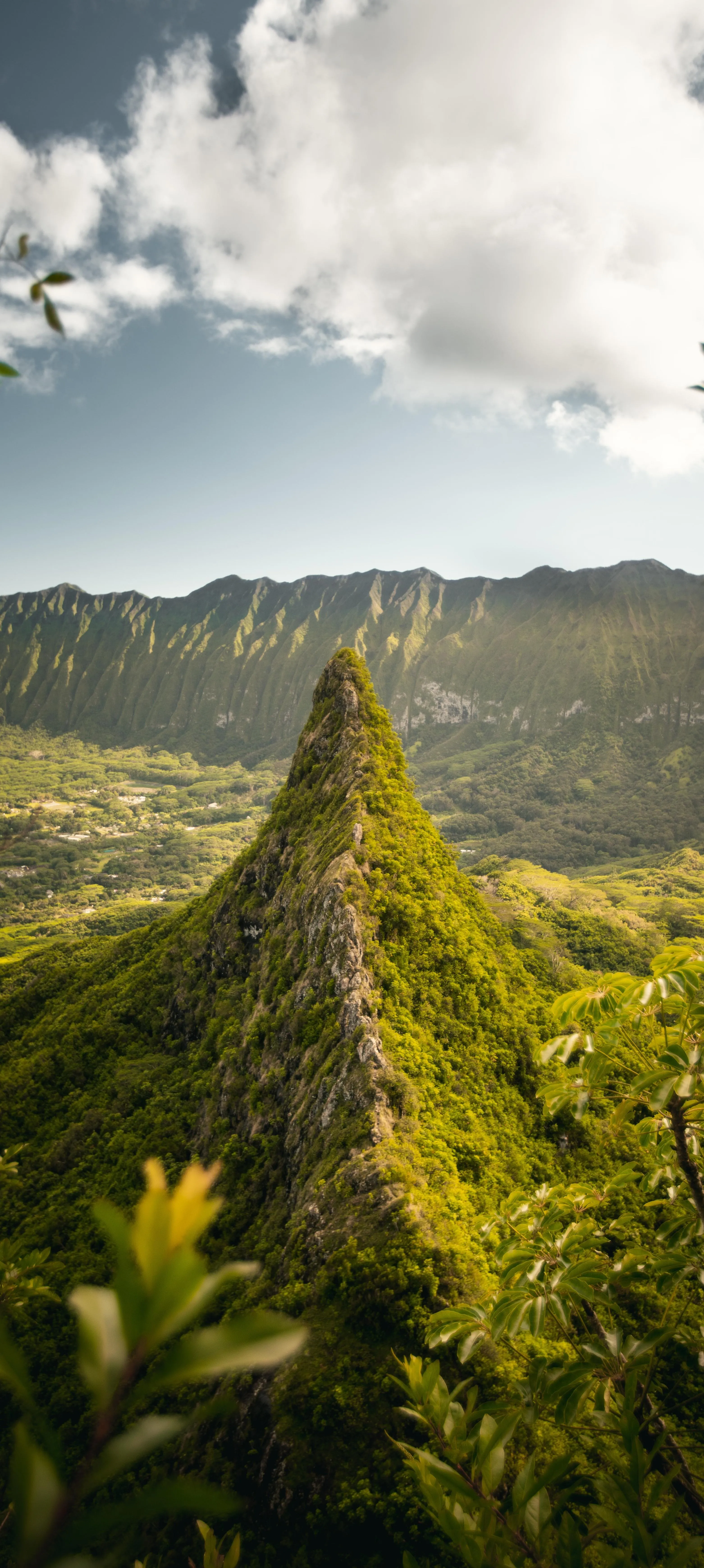 Mountain Path Surrounded by Lush Green Forest View Image