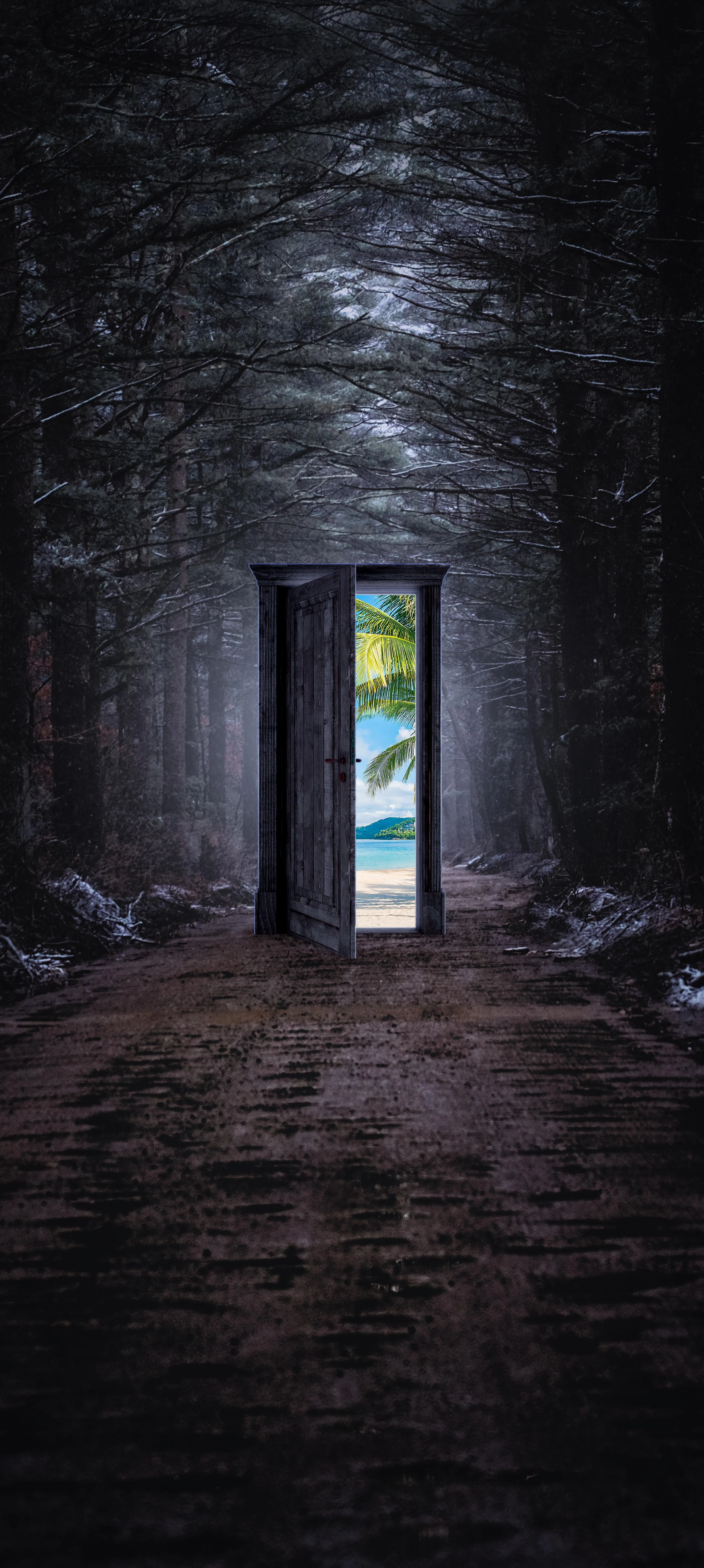 Mysterious Door in The Forest Leading To Paradise Beach