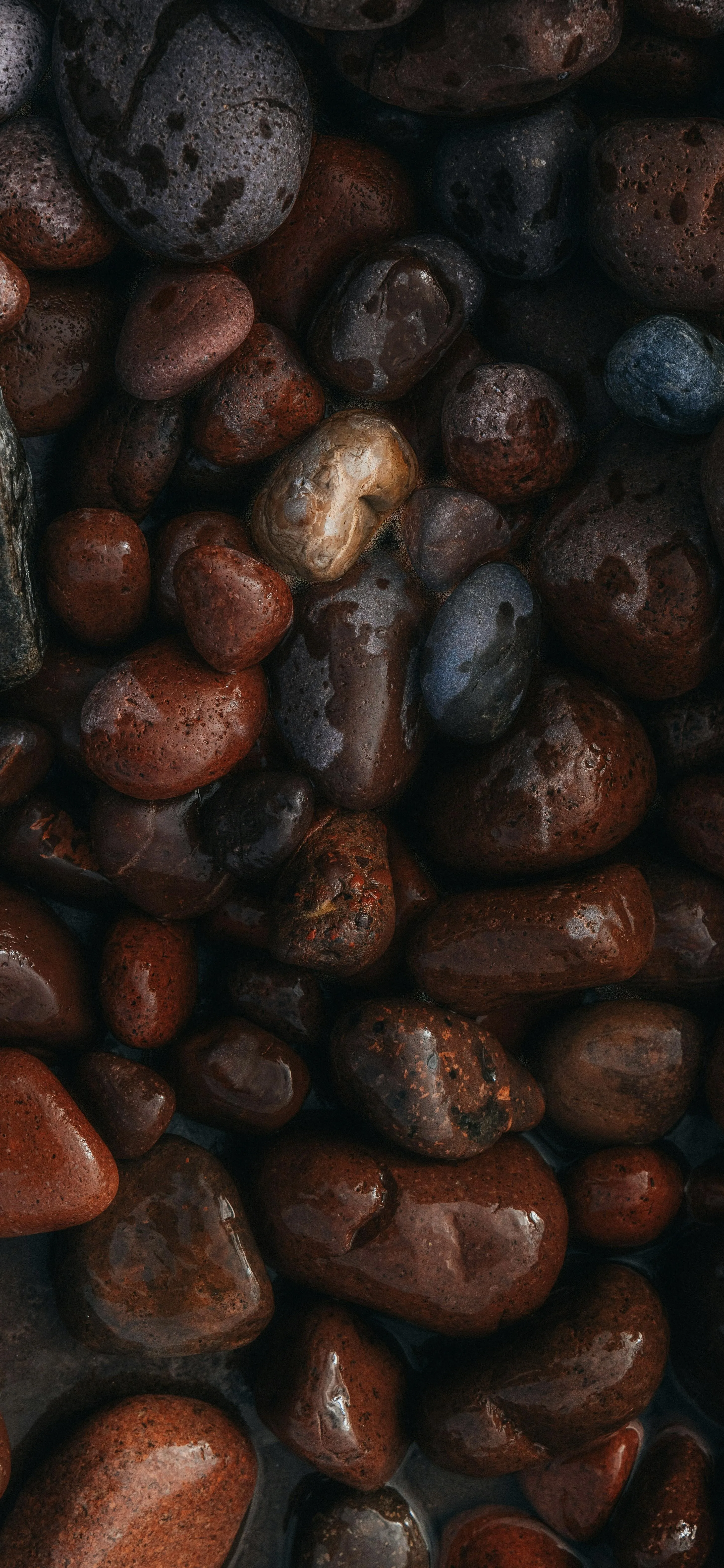 Natural Beauty of Wet Polished River Stones HD Wallpaper