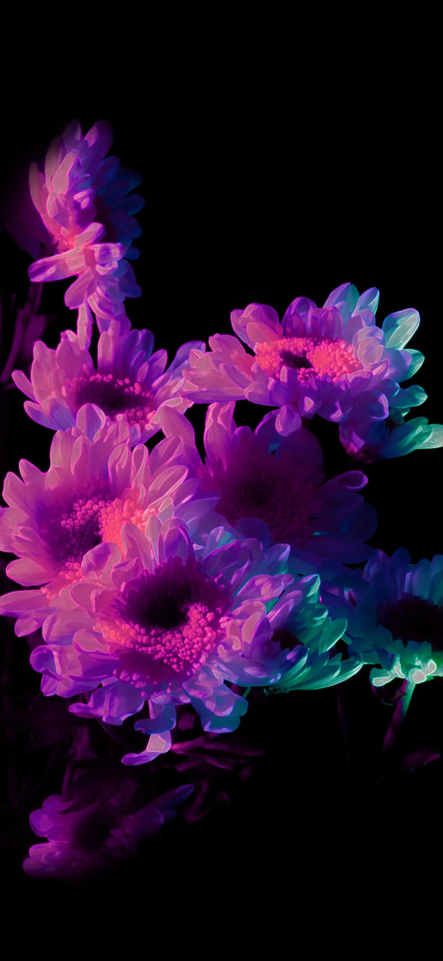 Neon Smoke Cloud in Vivid Purple and Blue Digital Form