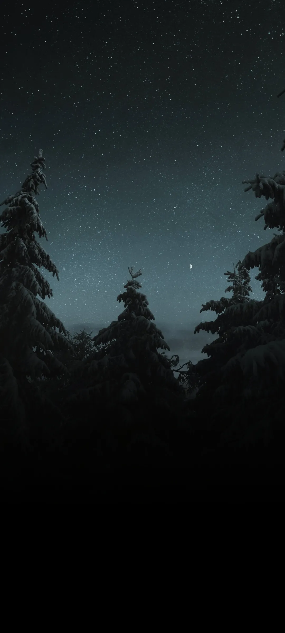 Night Forest Silhouette under Dim Moonlight Sky Wallpaper