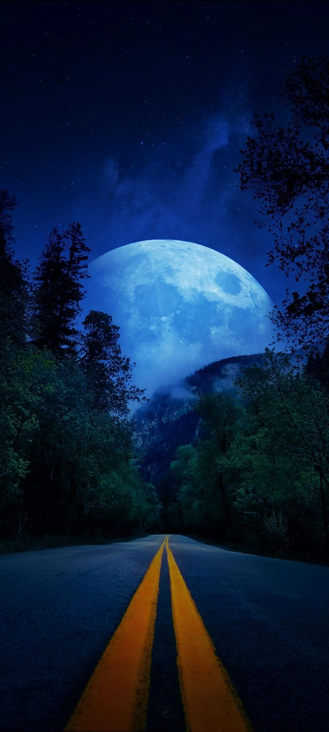 Night Road Leading To Full Moon Surrounded By Trees