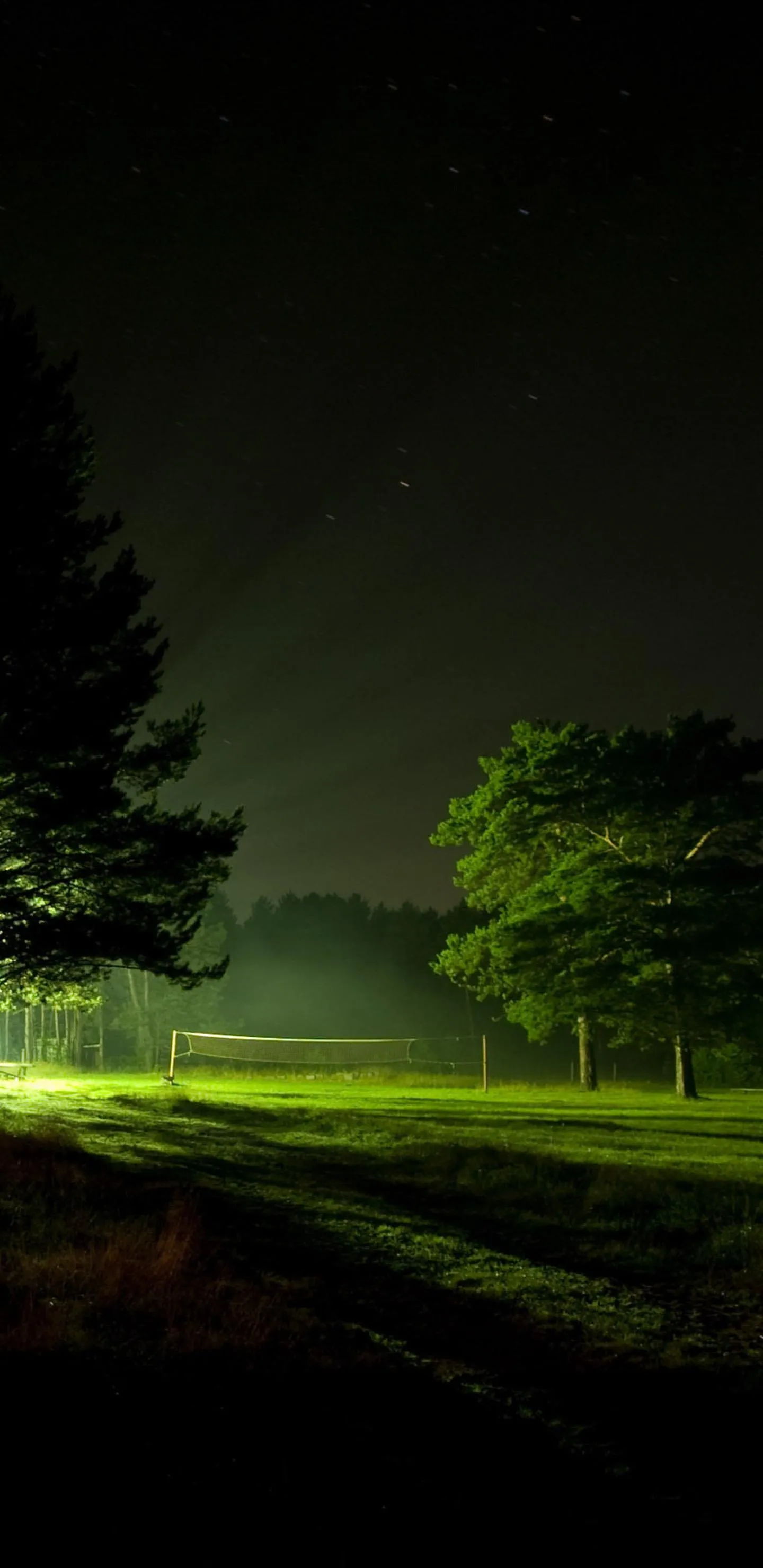 Night Road with Trees and Green Light Peaceful Journey