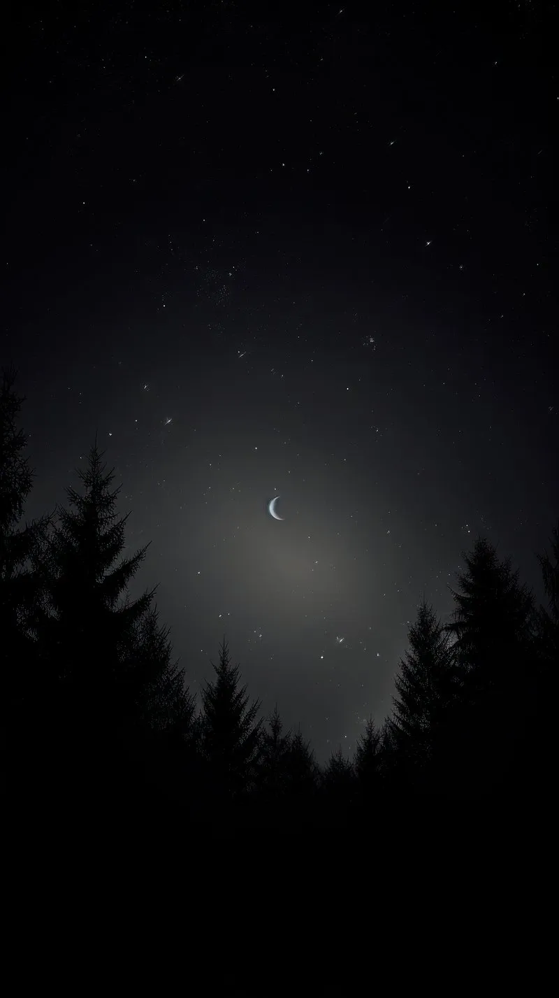 Night Sky Stars Above Tall Forest Forming a Calm Scene