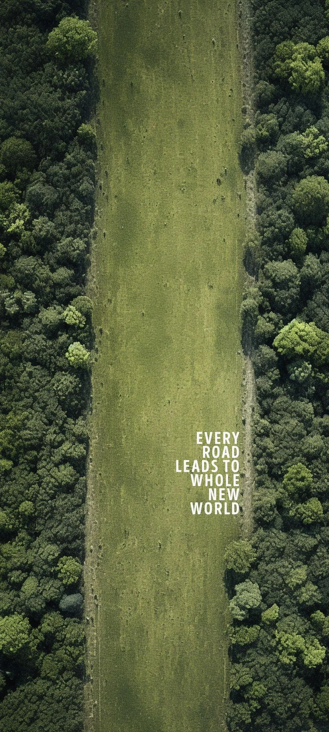 Old Moss Covered Road Leading into Dense Green Forest