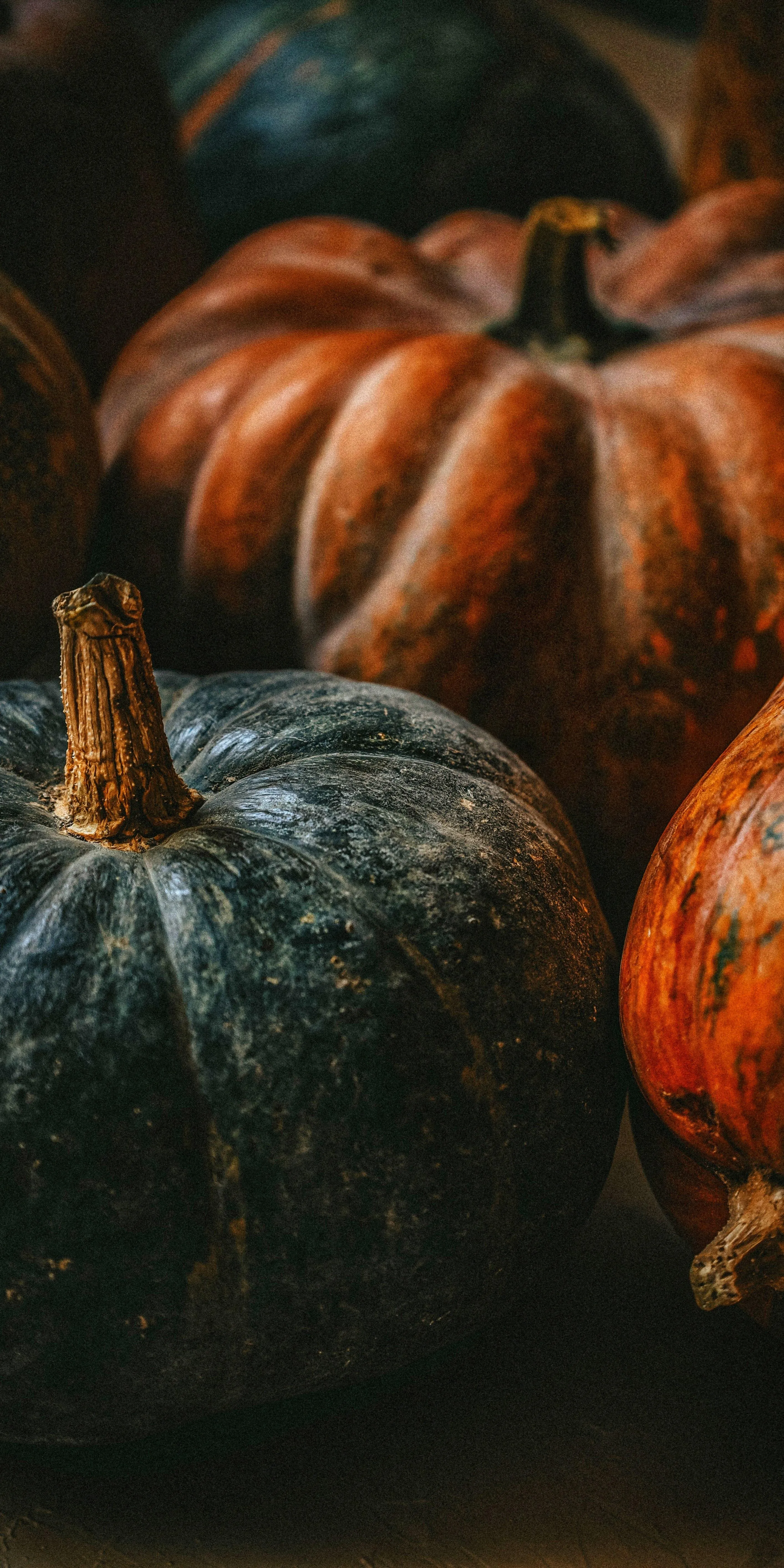 Orange and Green Pumpkins Grouped on Rustic Surface