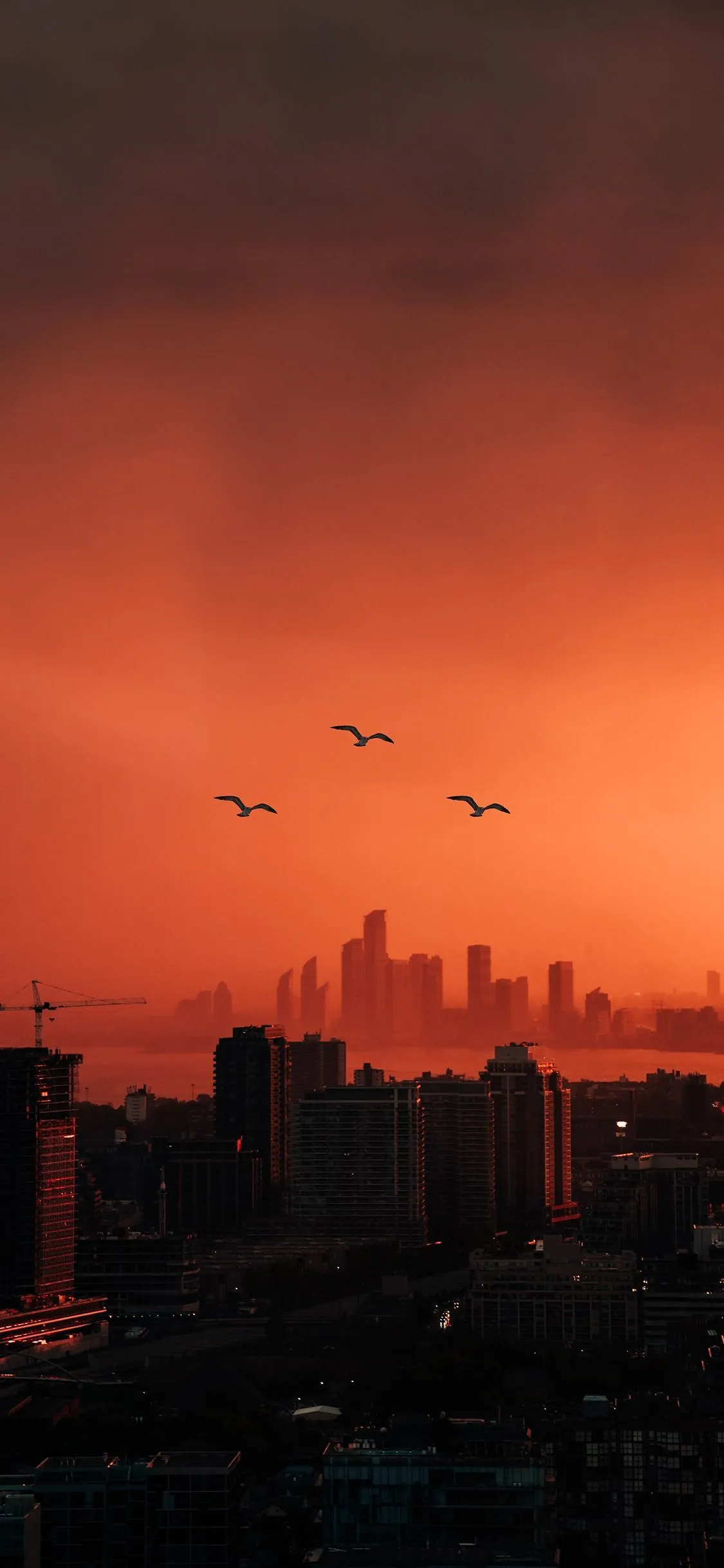 Orange Sunset City Wallpaper for Evening Serenity Oppo