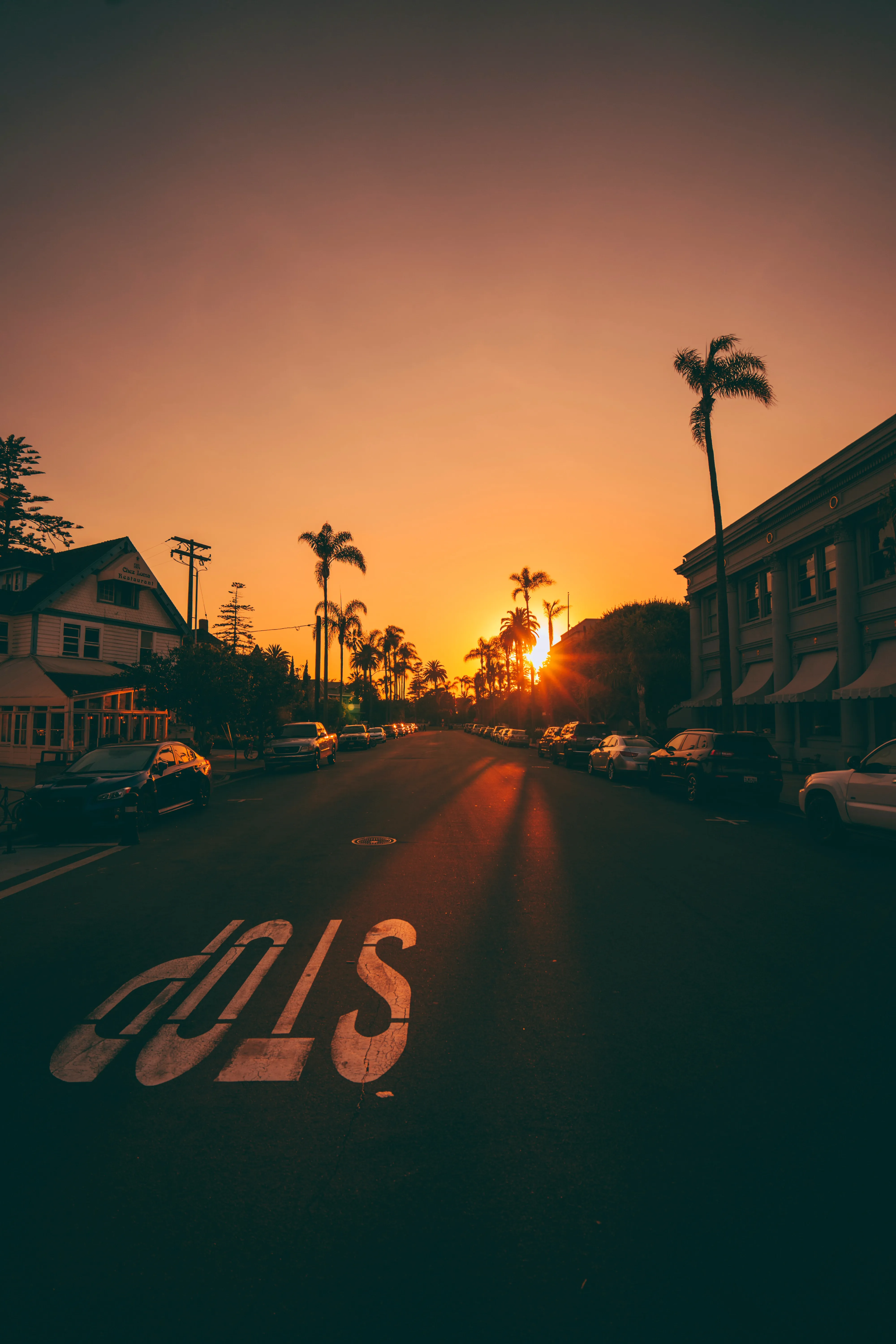 Palm Tree Sunset View with City Street Perspective Wallpaper