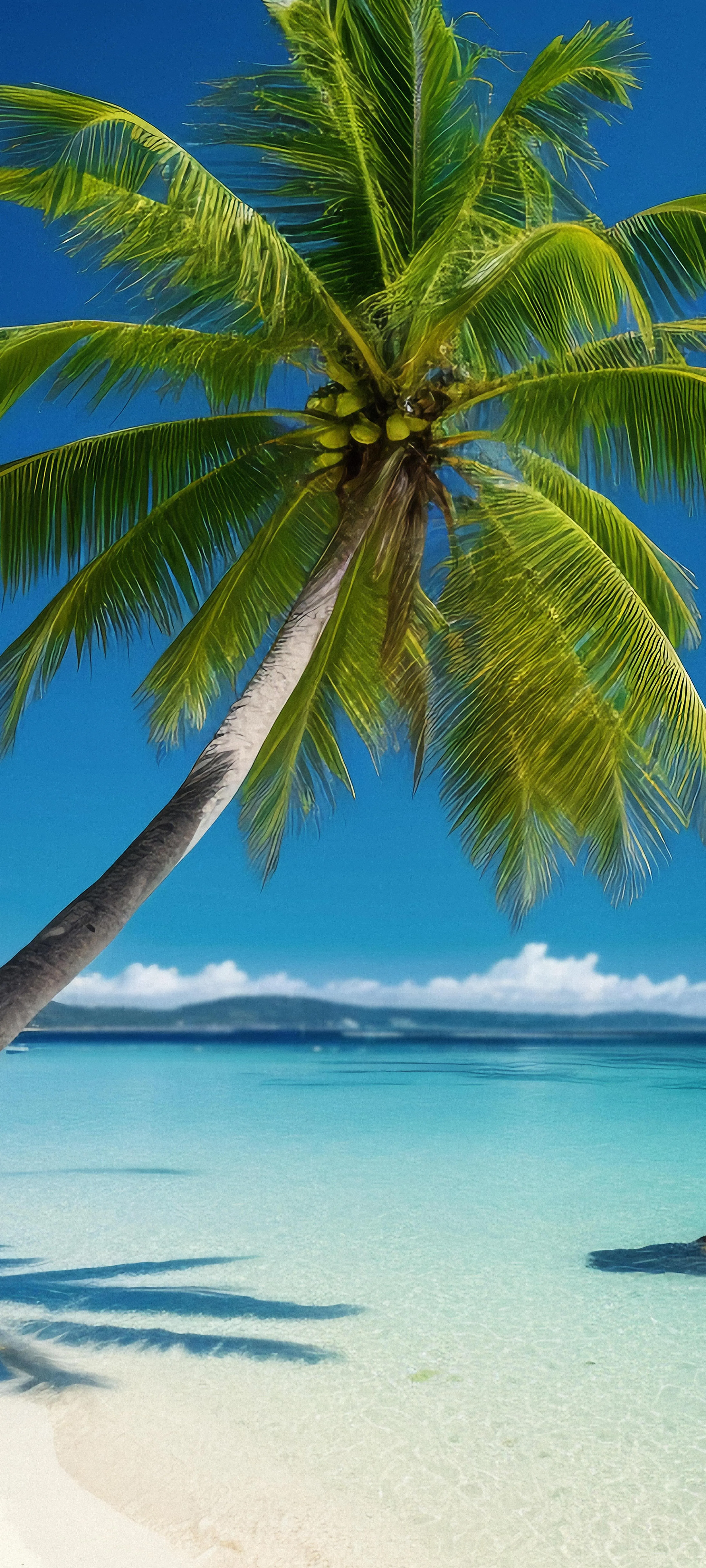 Peaceful Beach with Palm Trees and Blue Sky Wallpaper