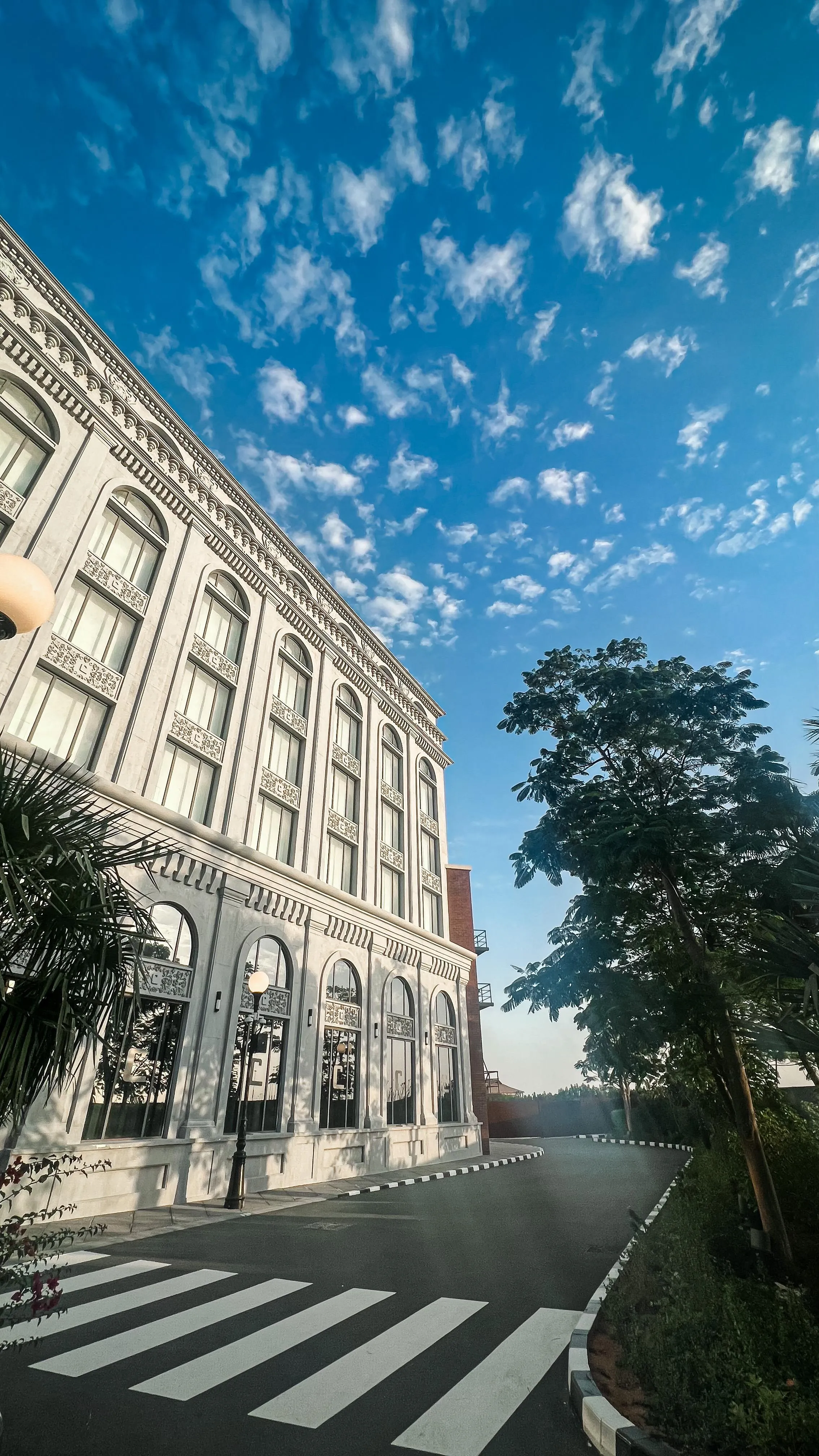 Peaceful City Street with Bright Blue Sky and Trees Image