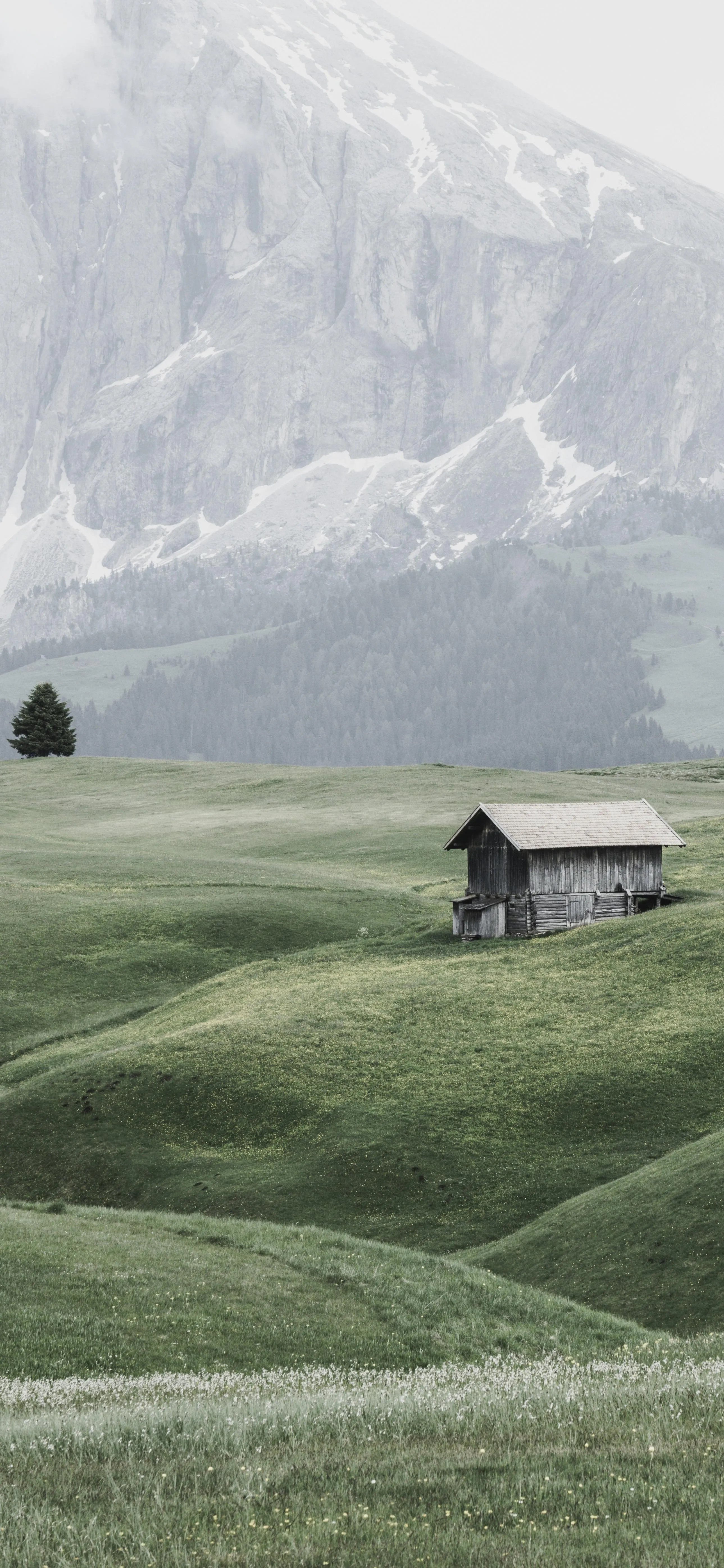 Peaceful Green Hills with Small Wooden Cabin Portrait Image