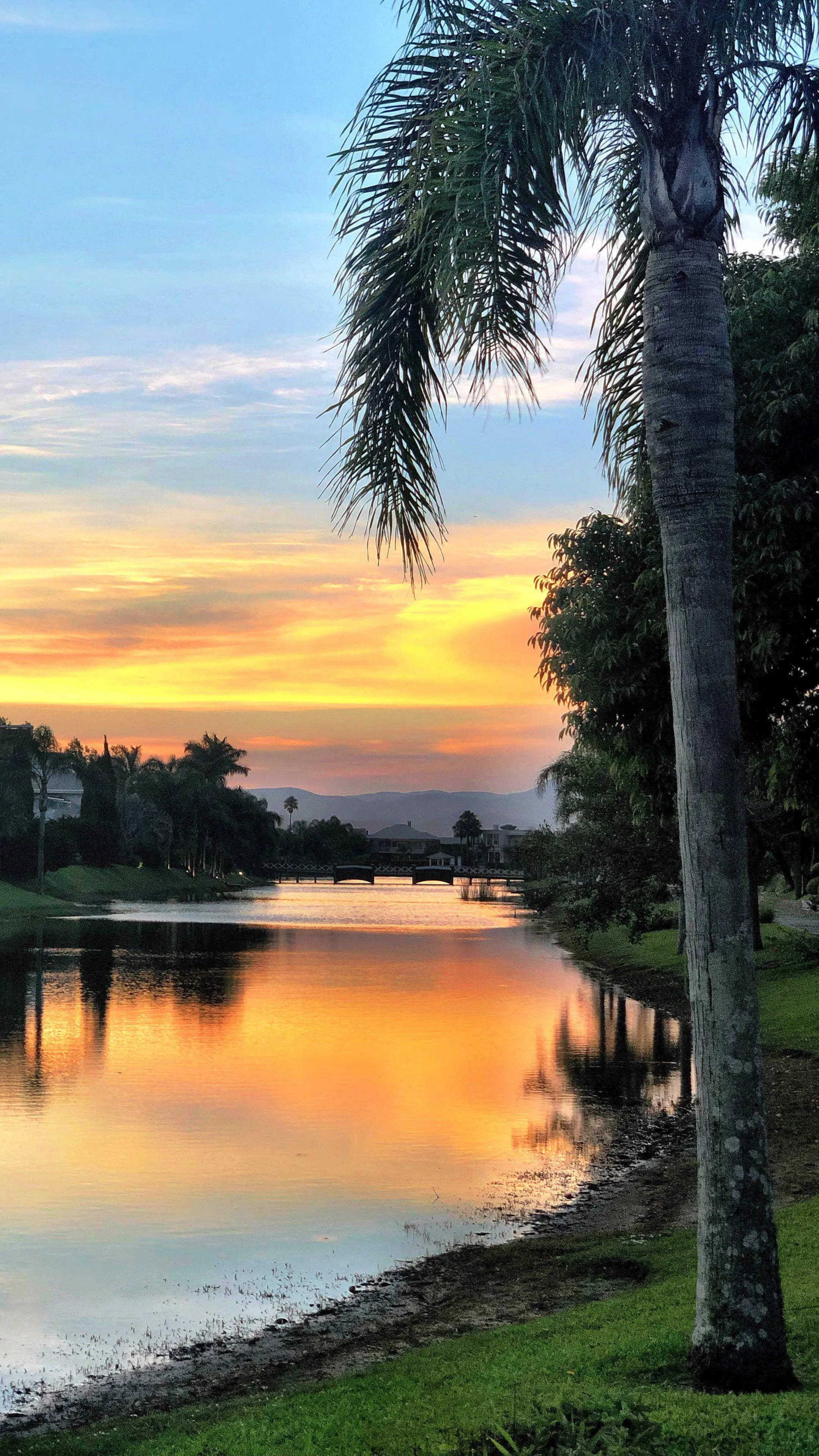 Peaceful Lake Reflecting Sunset and Silhouetted Trees