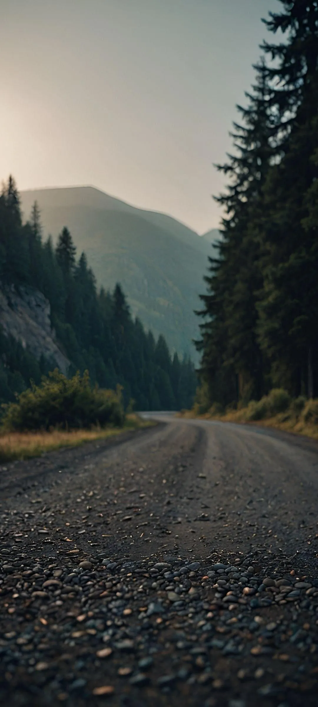 Peaceful Mountain Road Forest View Mobile Wallpaper