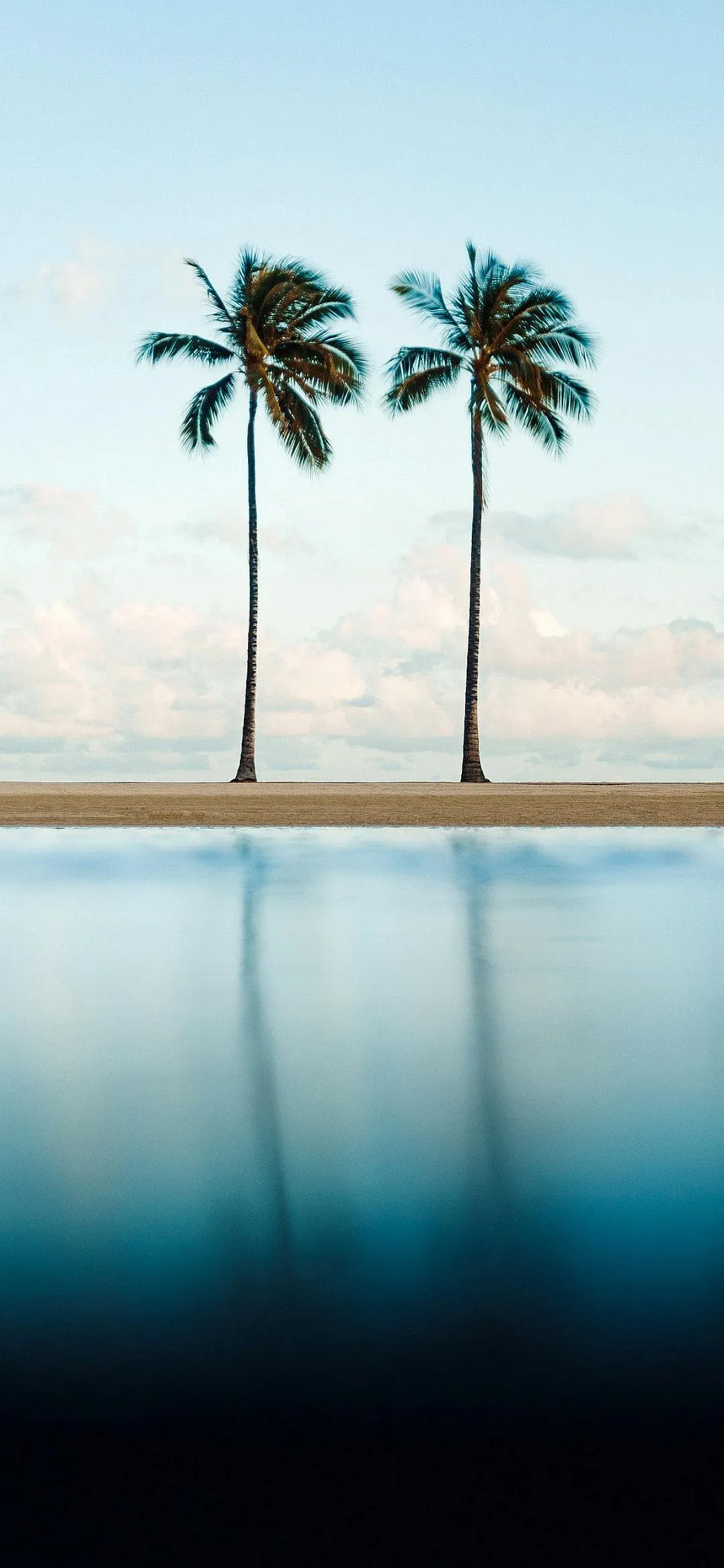Peaceful Scene with Twin Palm Trees Over Calm Water