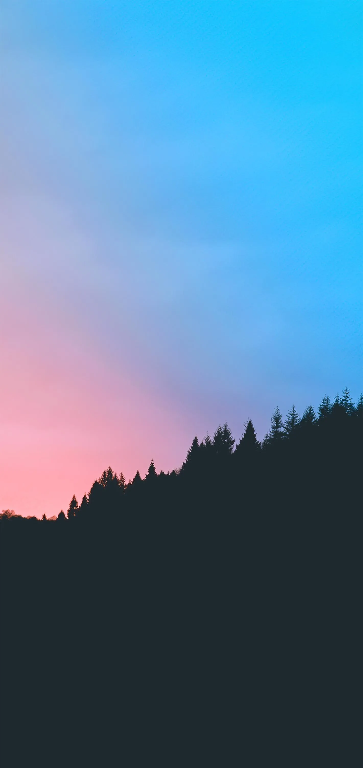 Peaceful Sunset Sky Over Pine Trees and Horizon Wallpaper