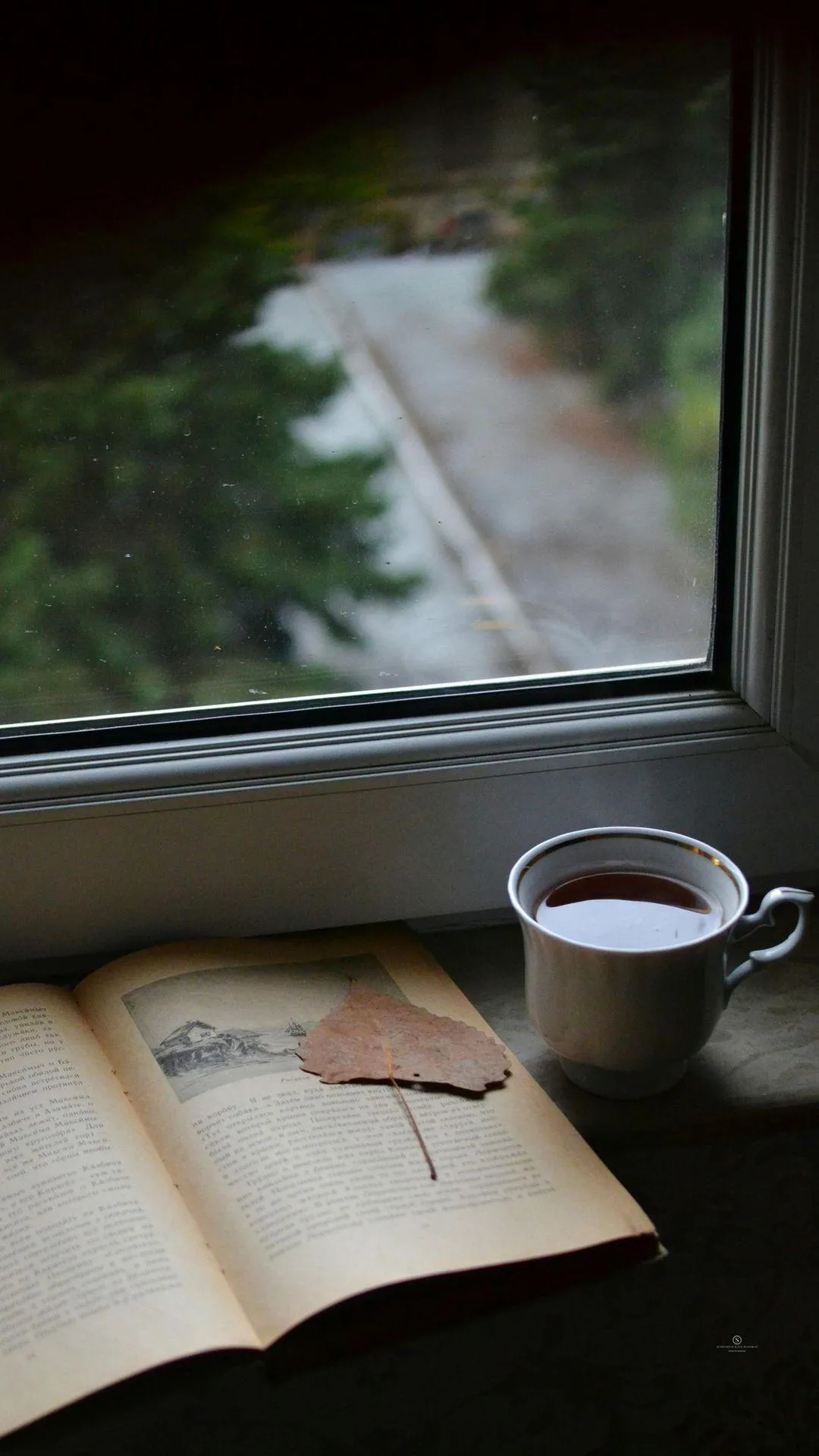 Peaceful Window View with Coffee Cup and Notebook Wallpaper