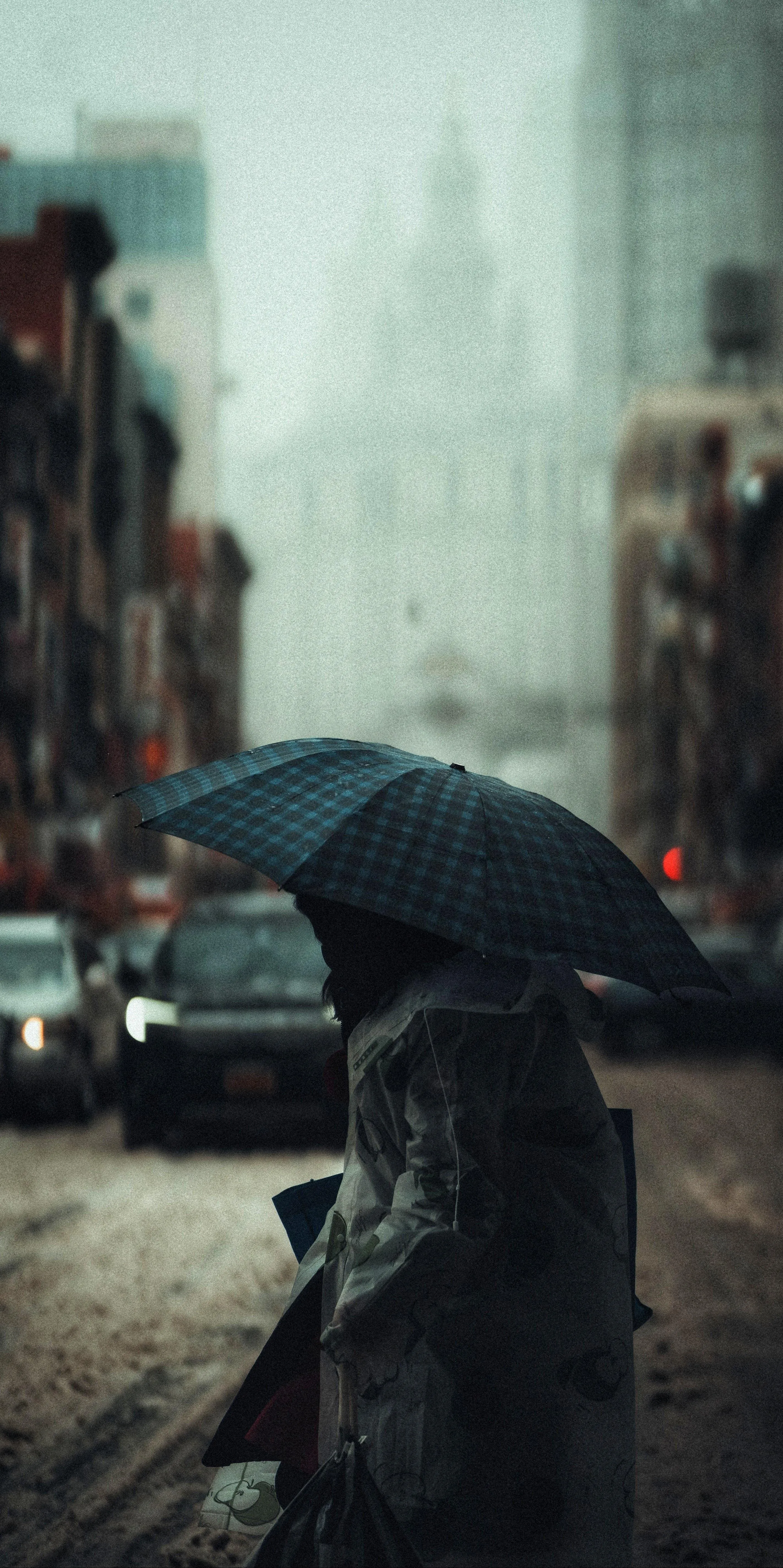 Person Walking in Rain Holding Umbrella on City Street