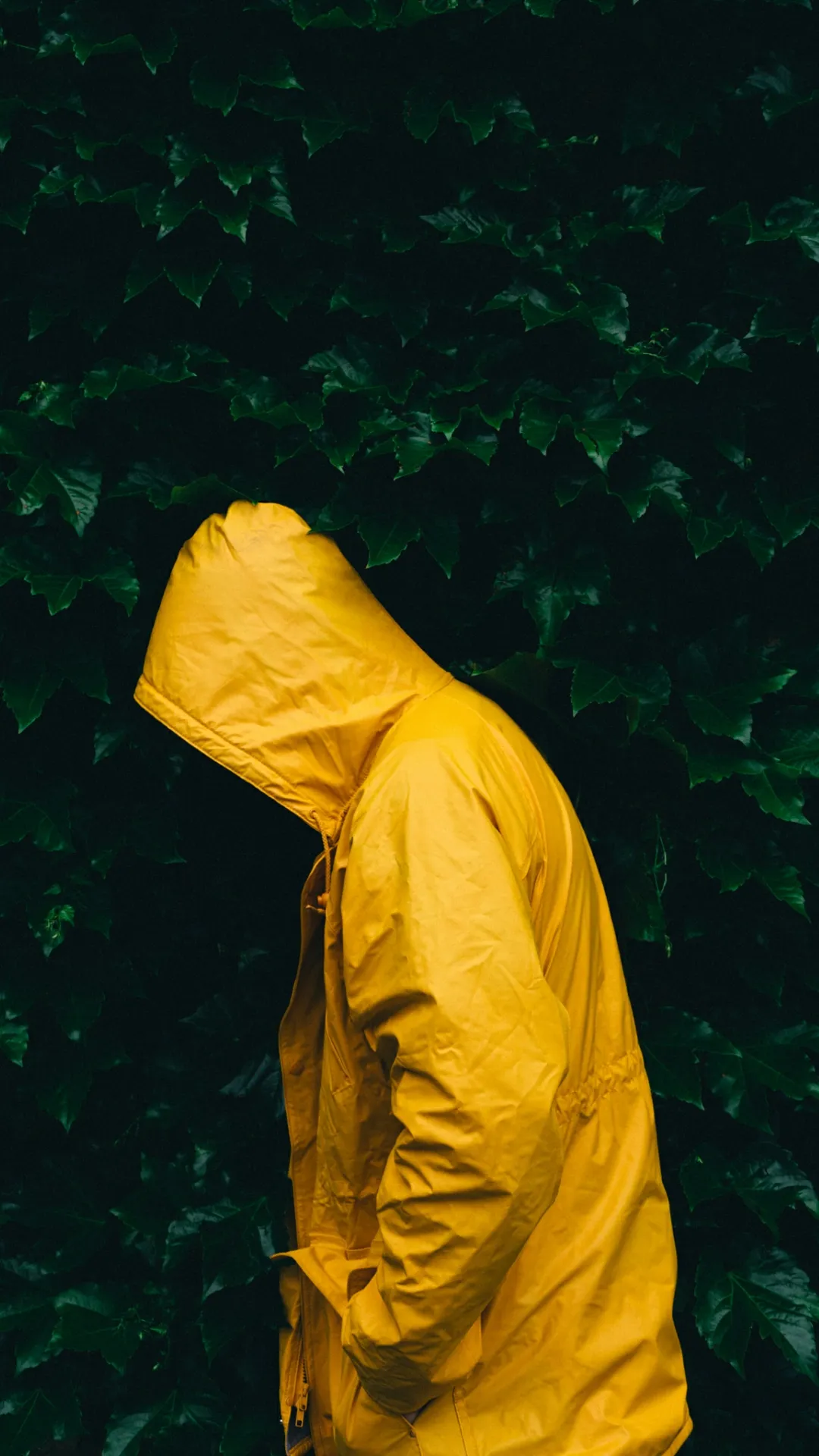 Person Wearing Bright Yellow Raincoat Standing in Forest