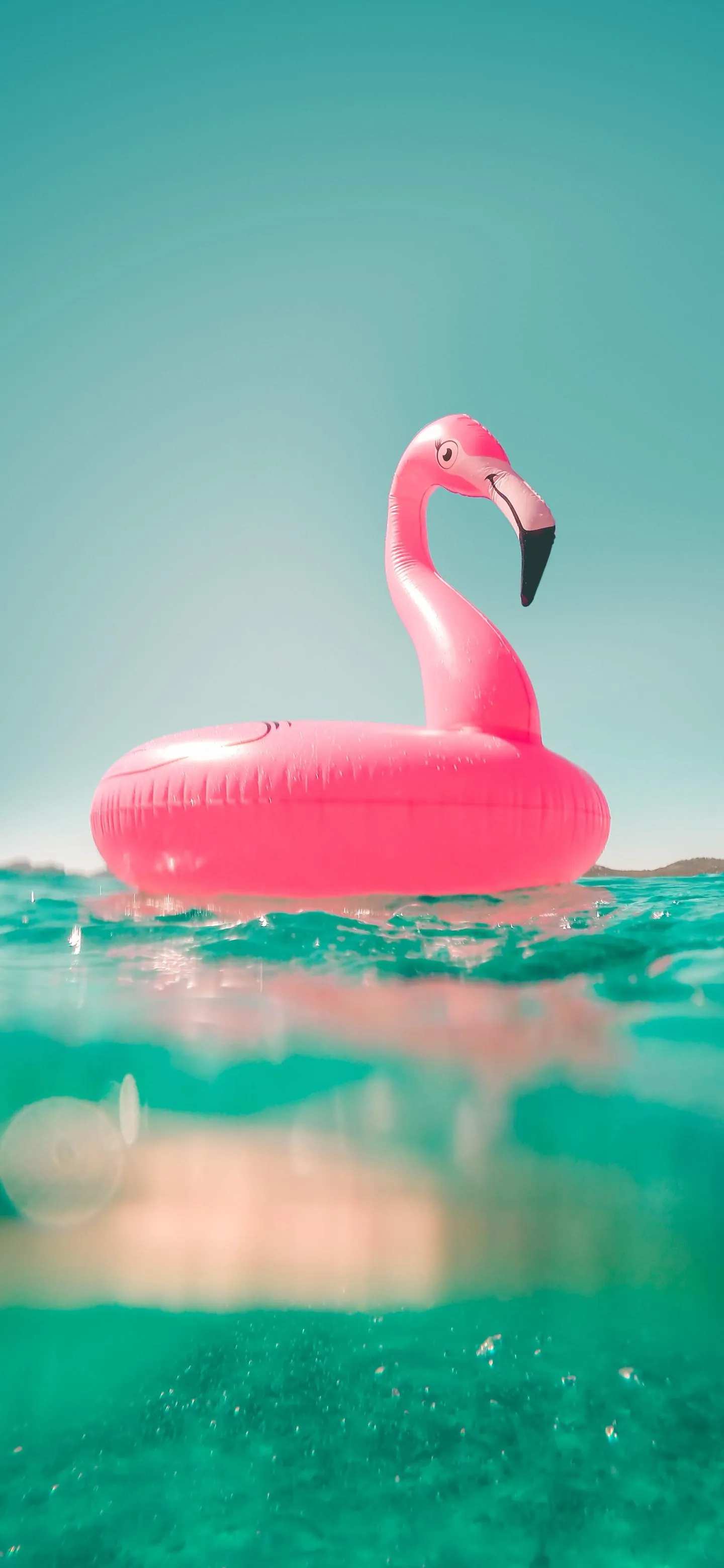 Pink Flamingo in Aqua Water Artistic Phone Design Wallpaper