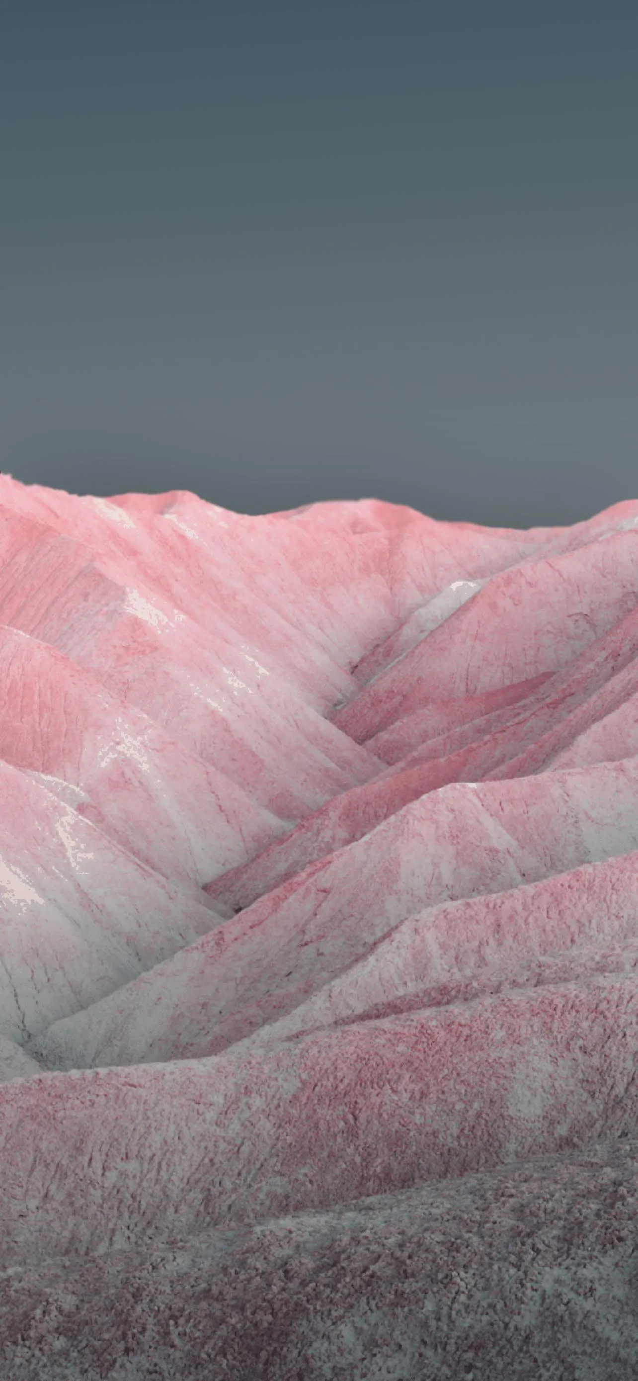 Pink Sand Dunes Forming Soft Curves Under Gentle Light