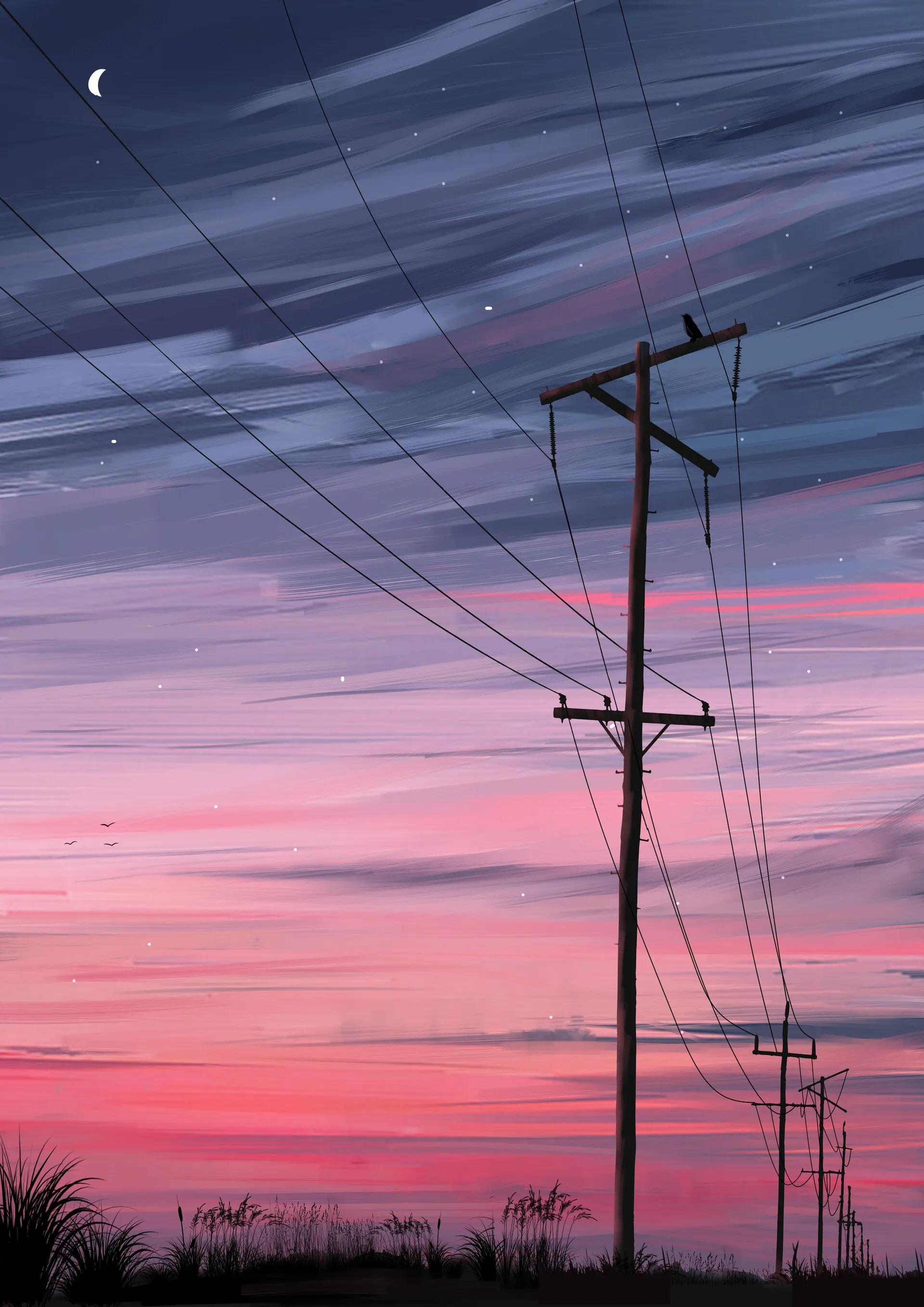 Power Lines over Pink Dusk Sky Serene Evening Scene