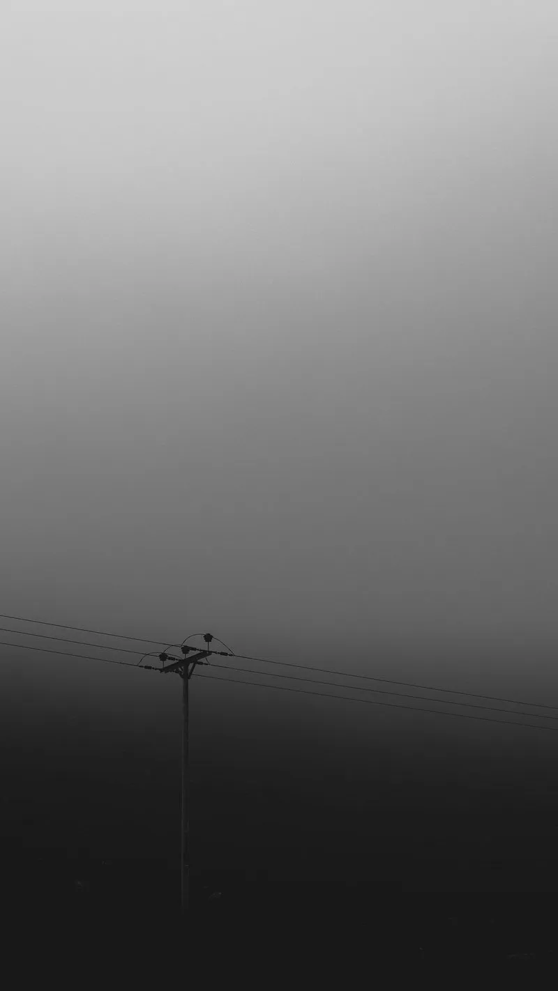 Power Lines Standing in a Misty Grayscale Minimalist Field