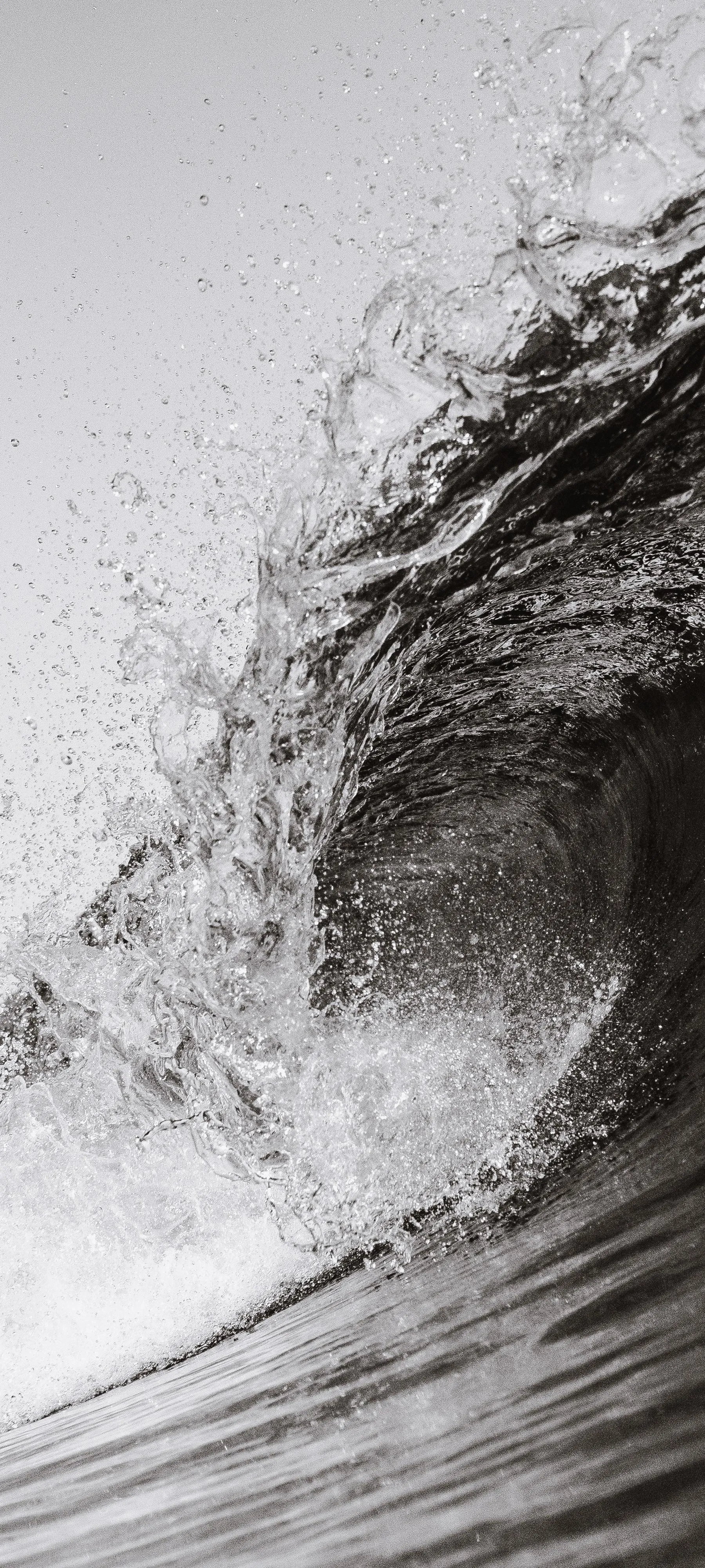 Powerful Ocean Wave Crashing with Spray in Black and White