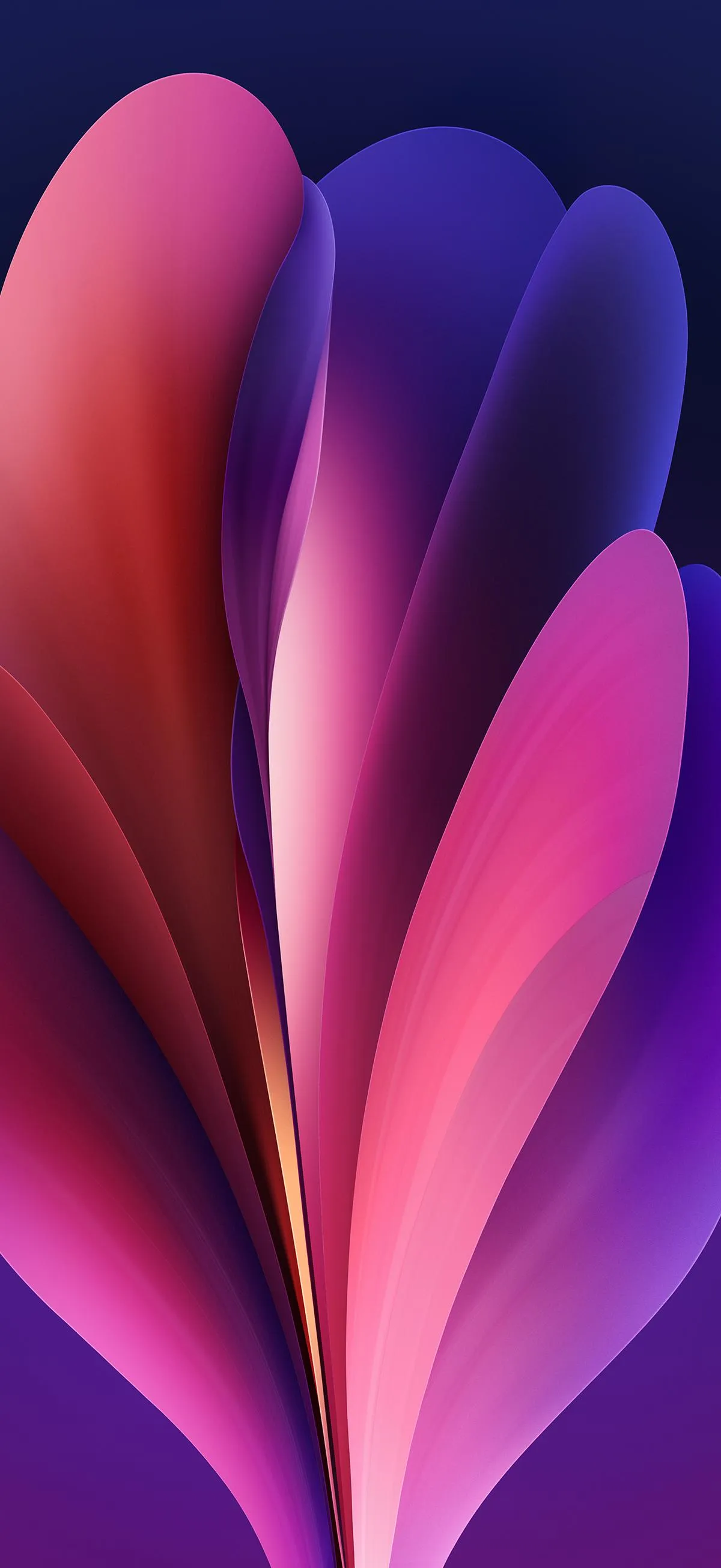 Purple and Pink Petals Abstract Soft Glow Wallpaper