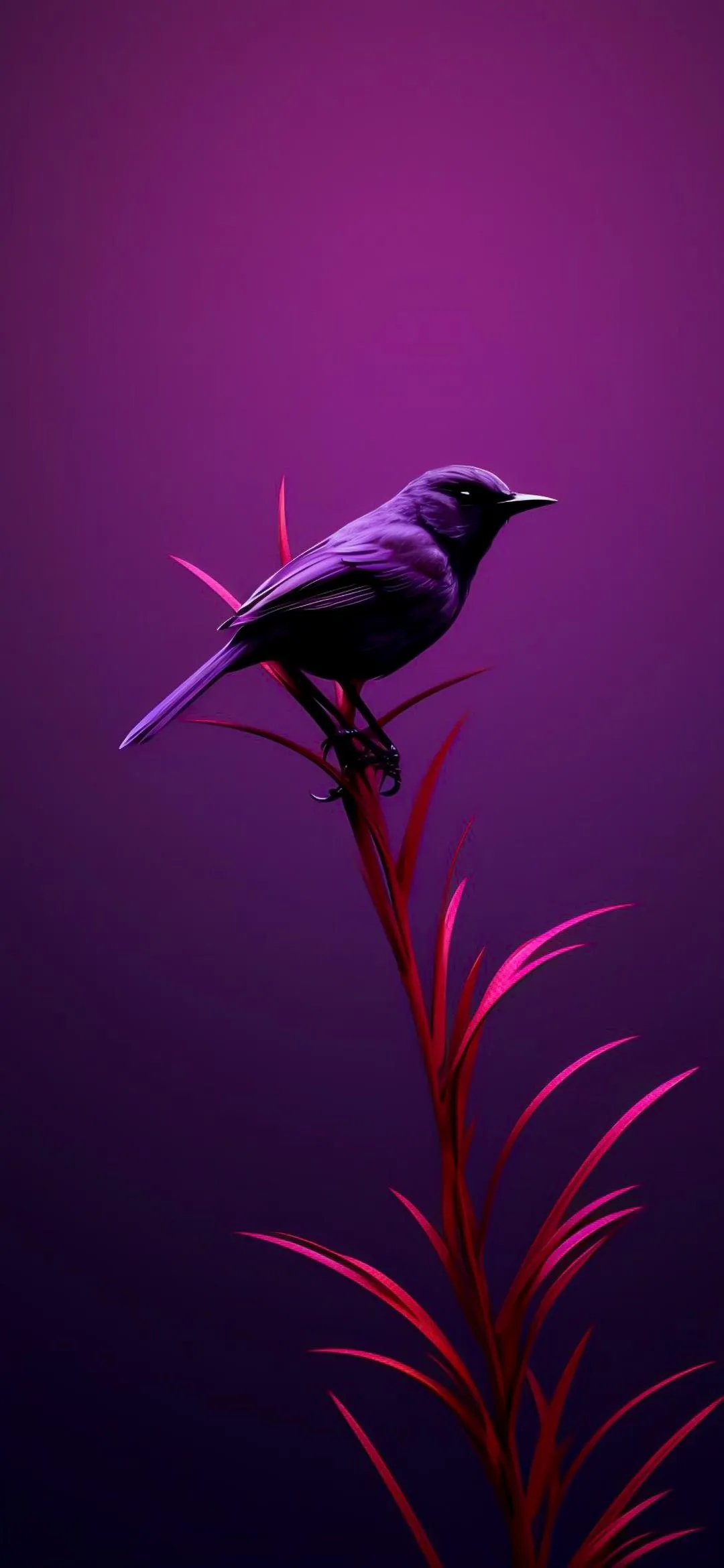 Purple Bird Sitting on Red Leaf with Dark Background