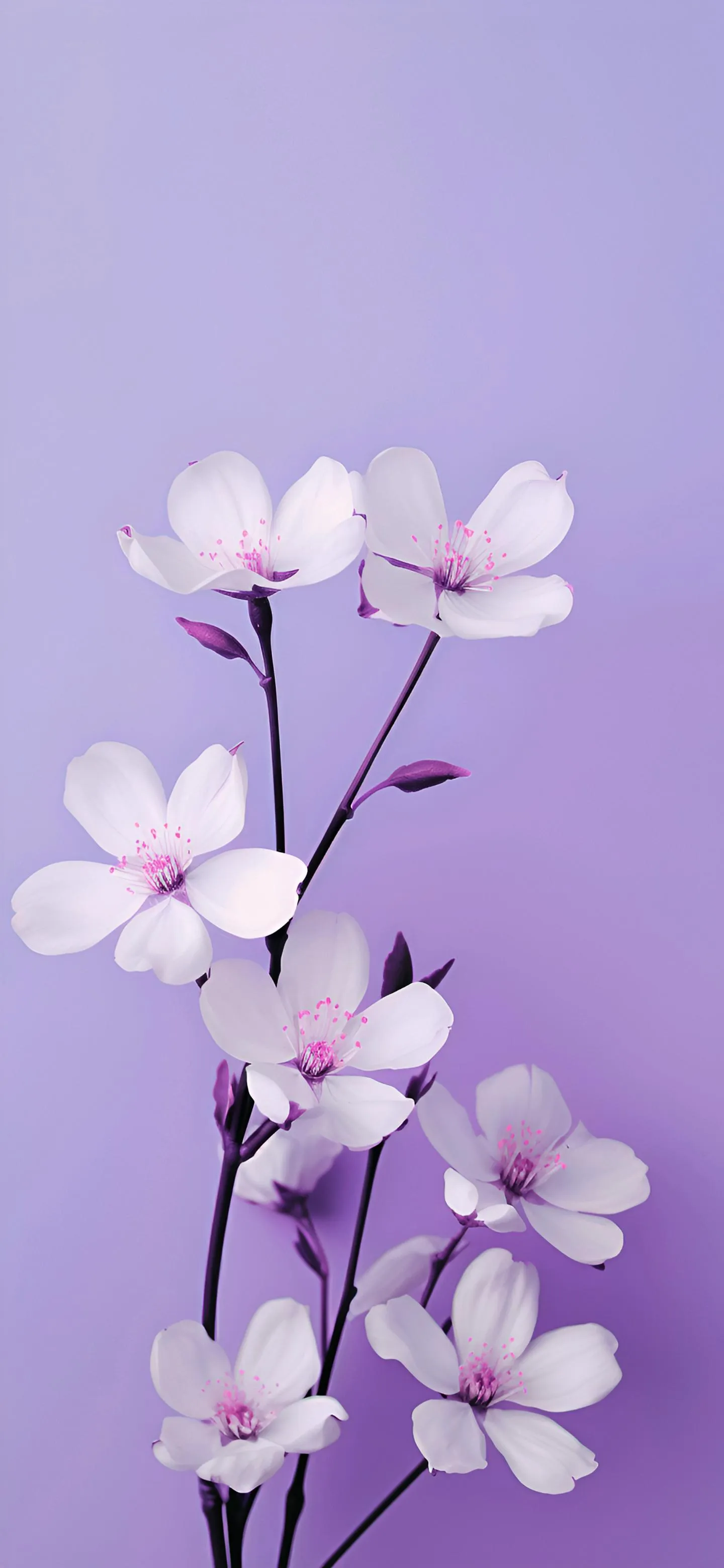 Purple Flower Branch Minimalist Nature Background Wallpaper