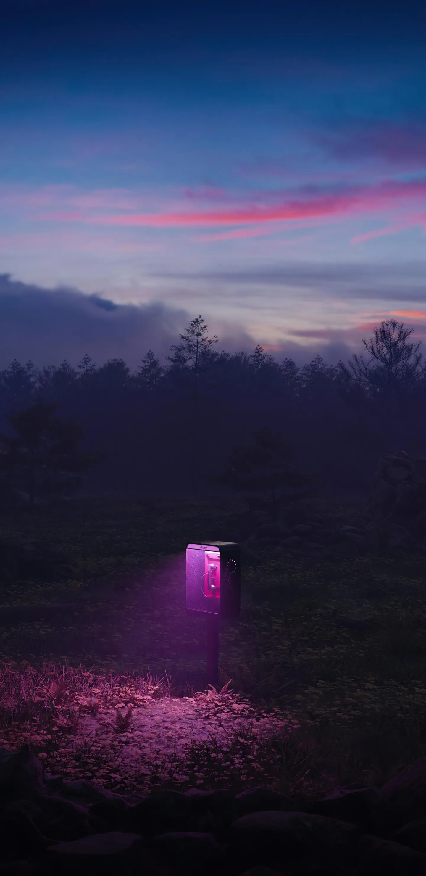 Purple Glowing Portal in Forest Surrounded by Trees