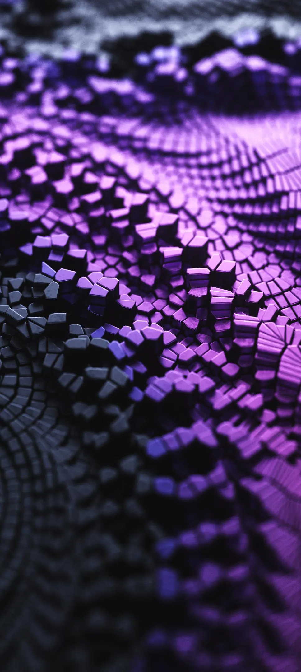 Purple Lavender Texture Closeup Artistic Mobile Background