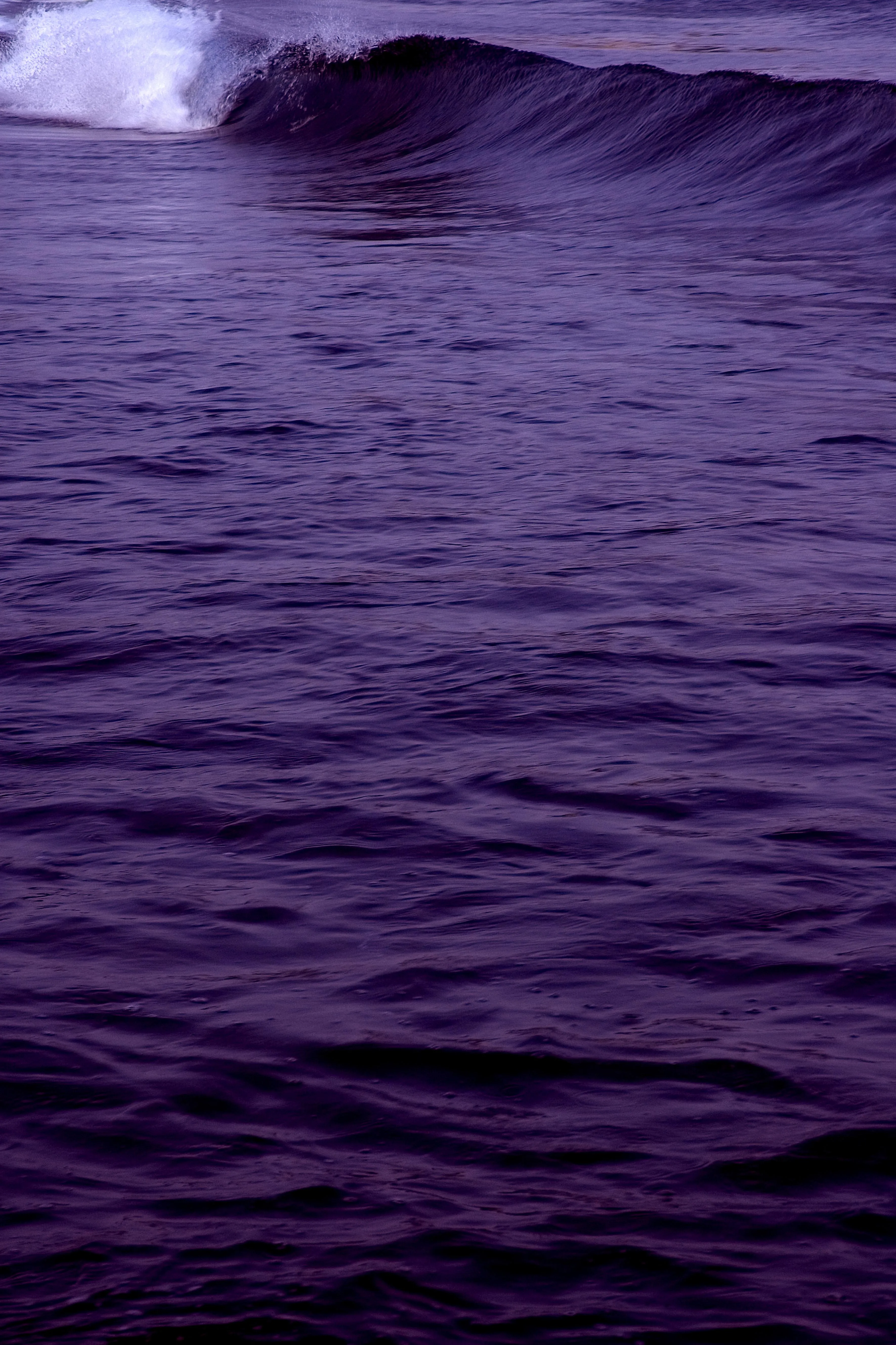 Purple Ocean Surface Under Mysterious Evening Sky Image