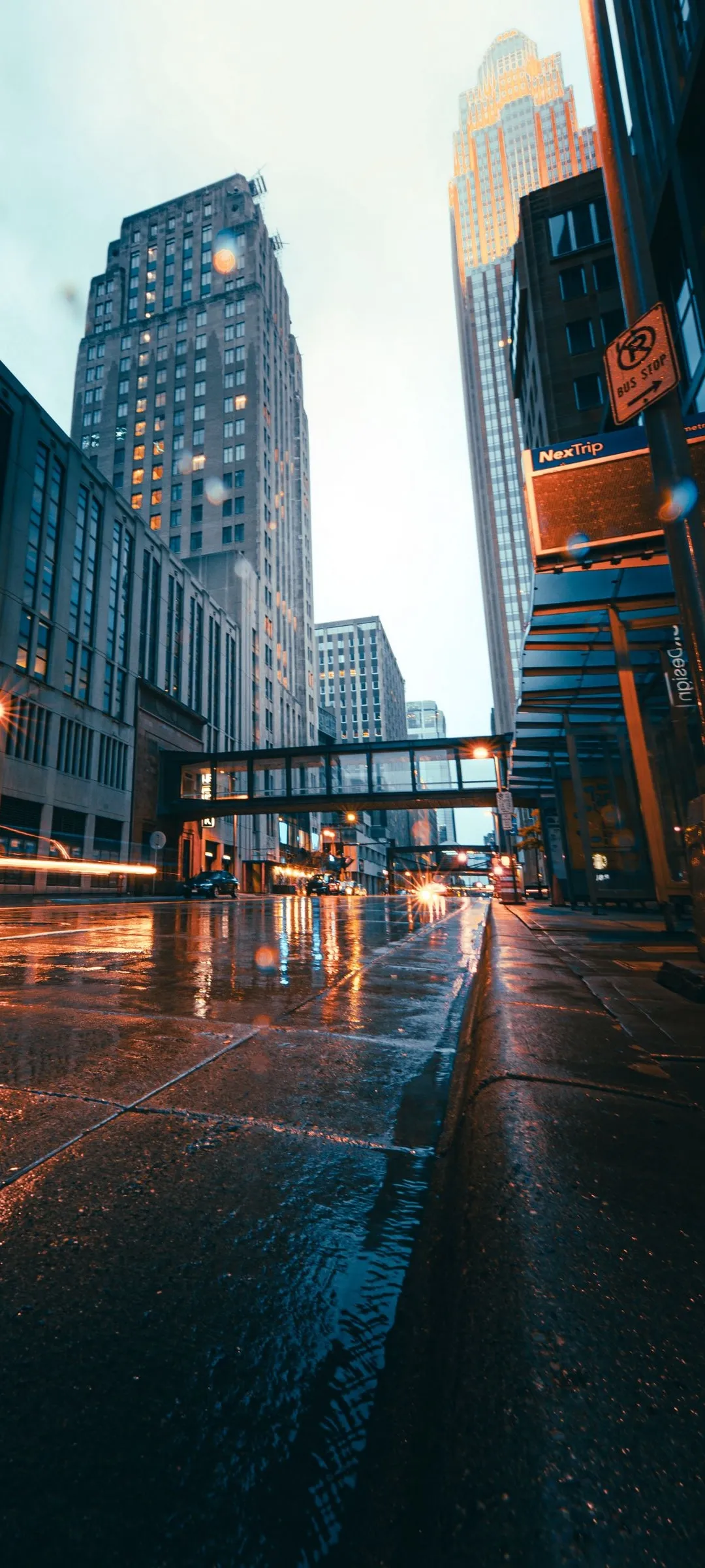 Rainy Street Scene with Modern Skyscrapers and Lights