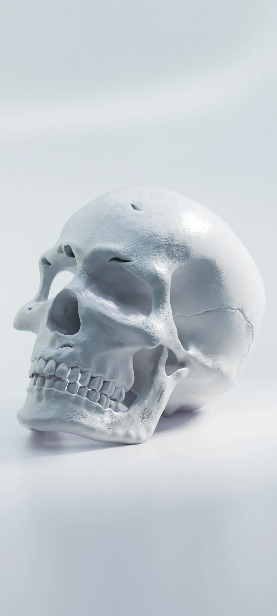 Realistic White Skull in Foggy Minimal Background Wallpaper