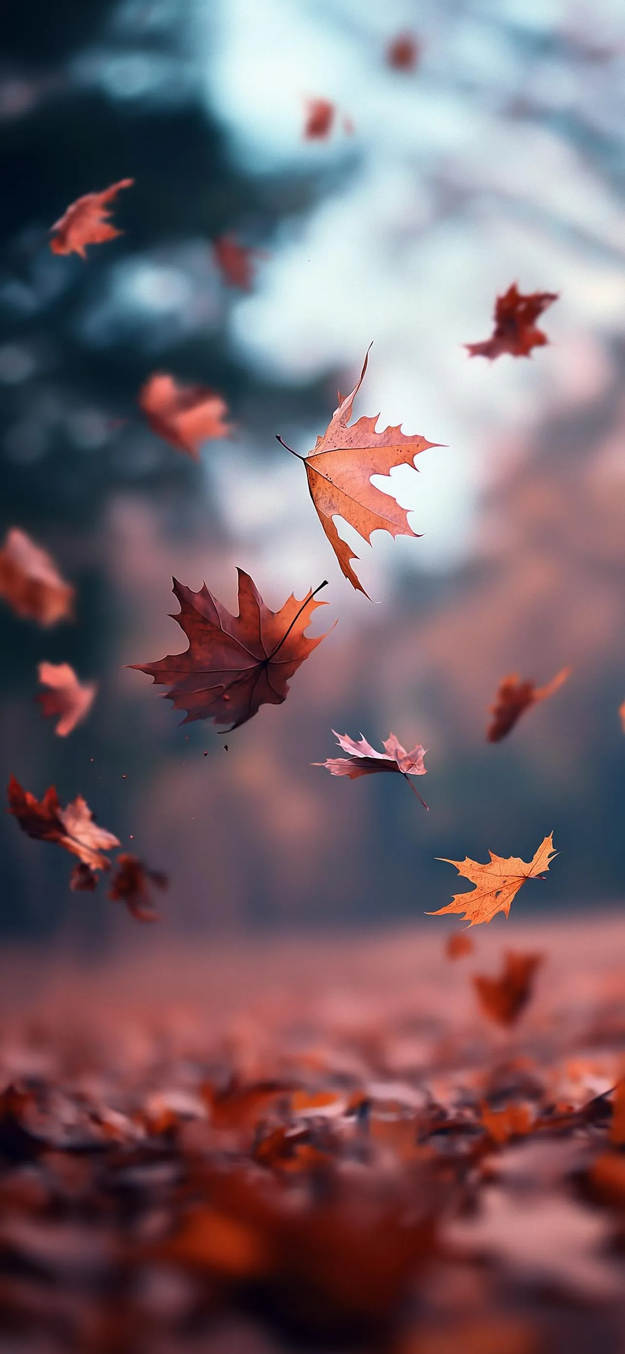 Red Autumn Leaves in Magical Fantasy Background Scene HD