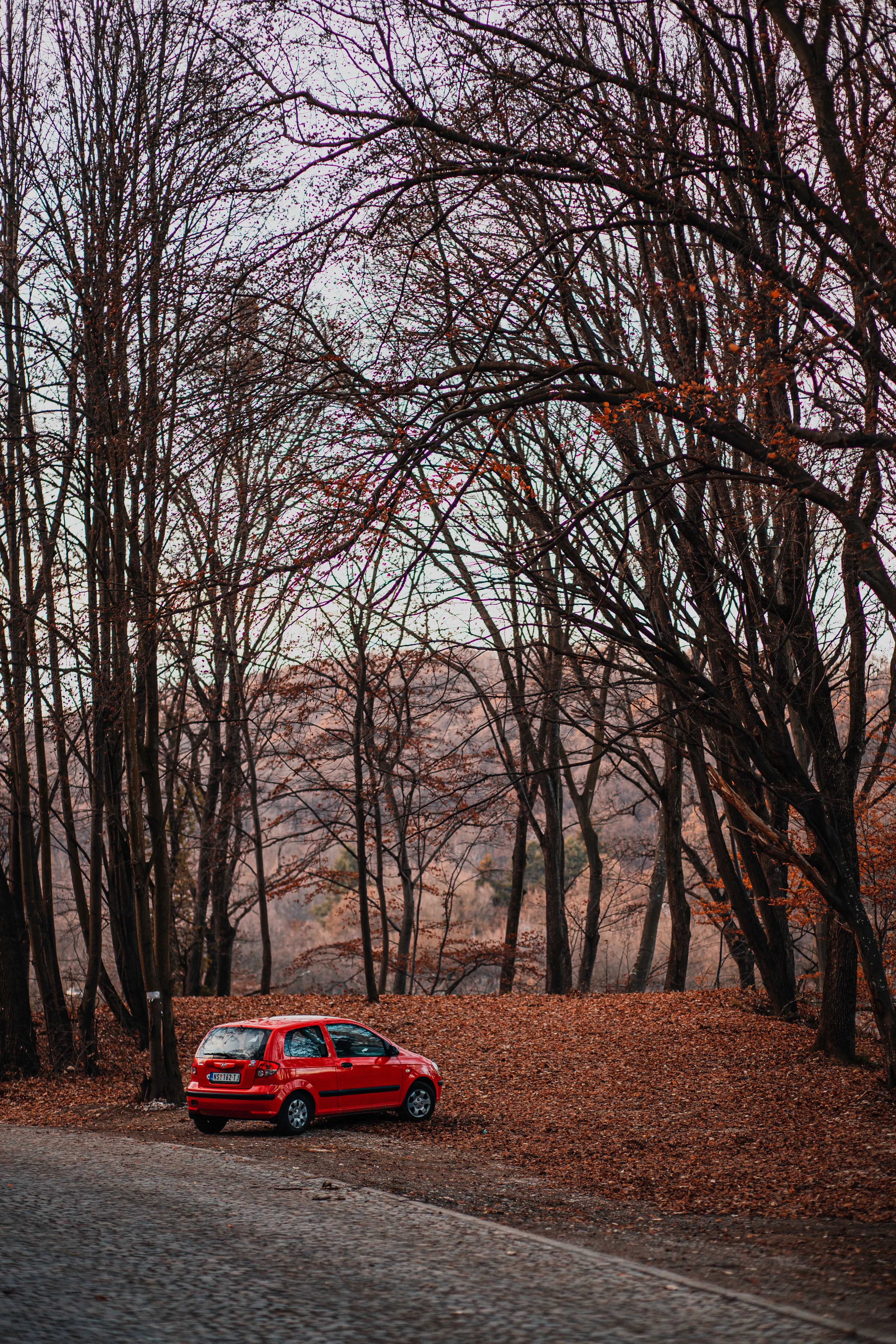 Red Car Parked on Road Covered by Autumn Trees Wallpaper
